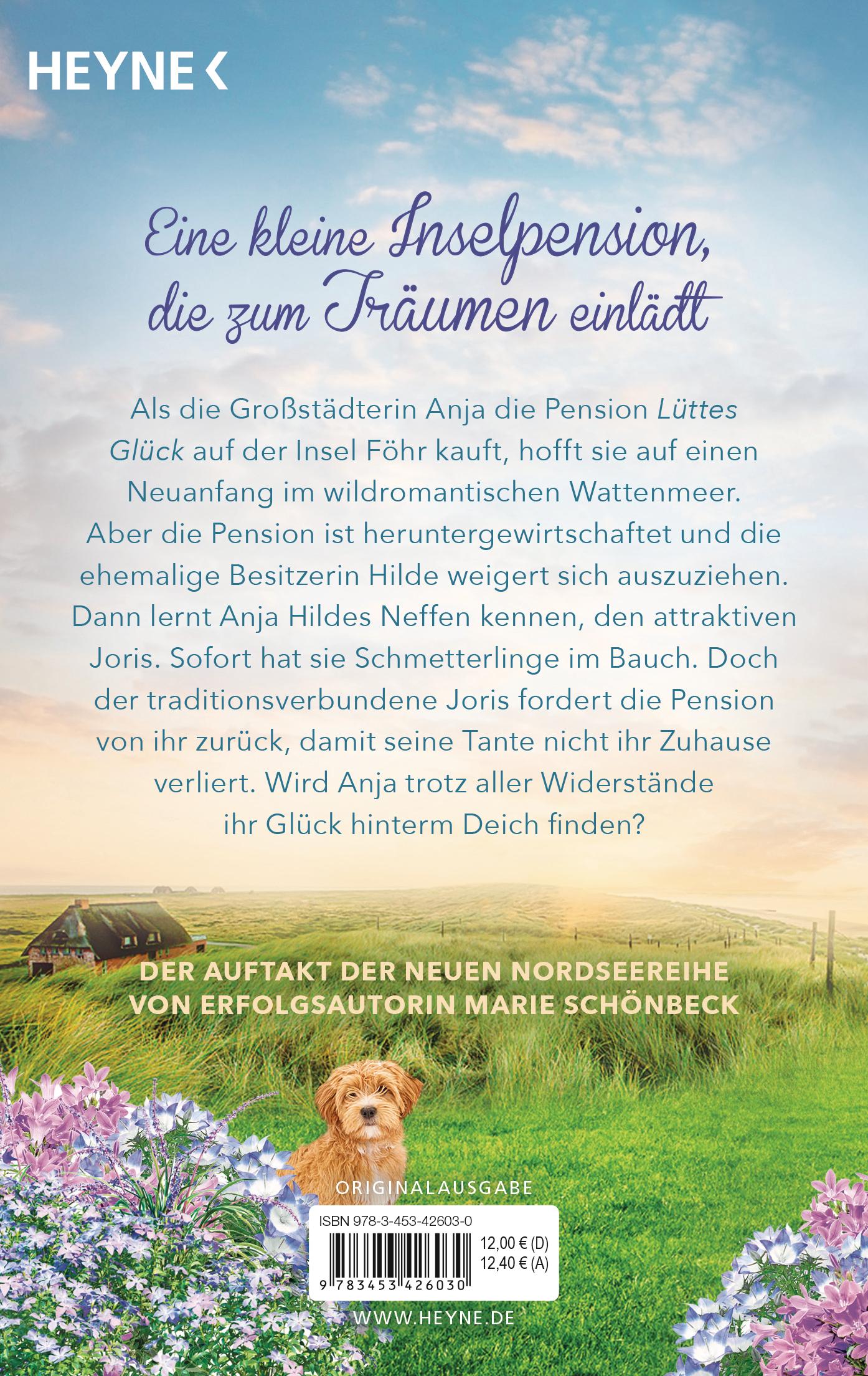Beispielinhalt (Bild) Lüttes Glück - Ein Traum am Nordseestrand
