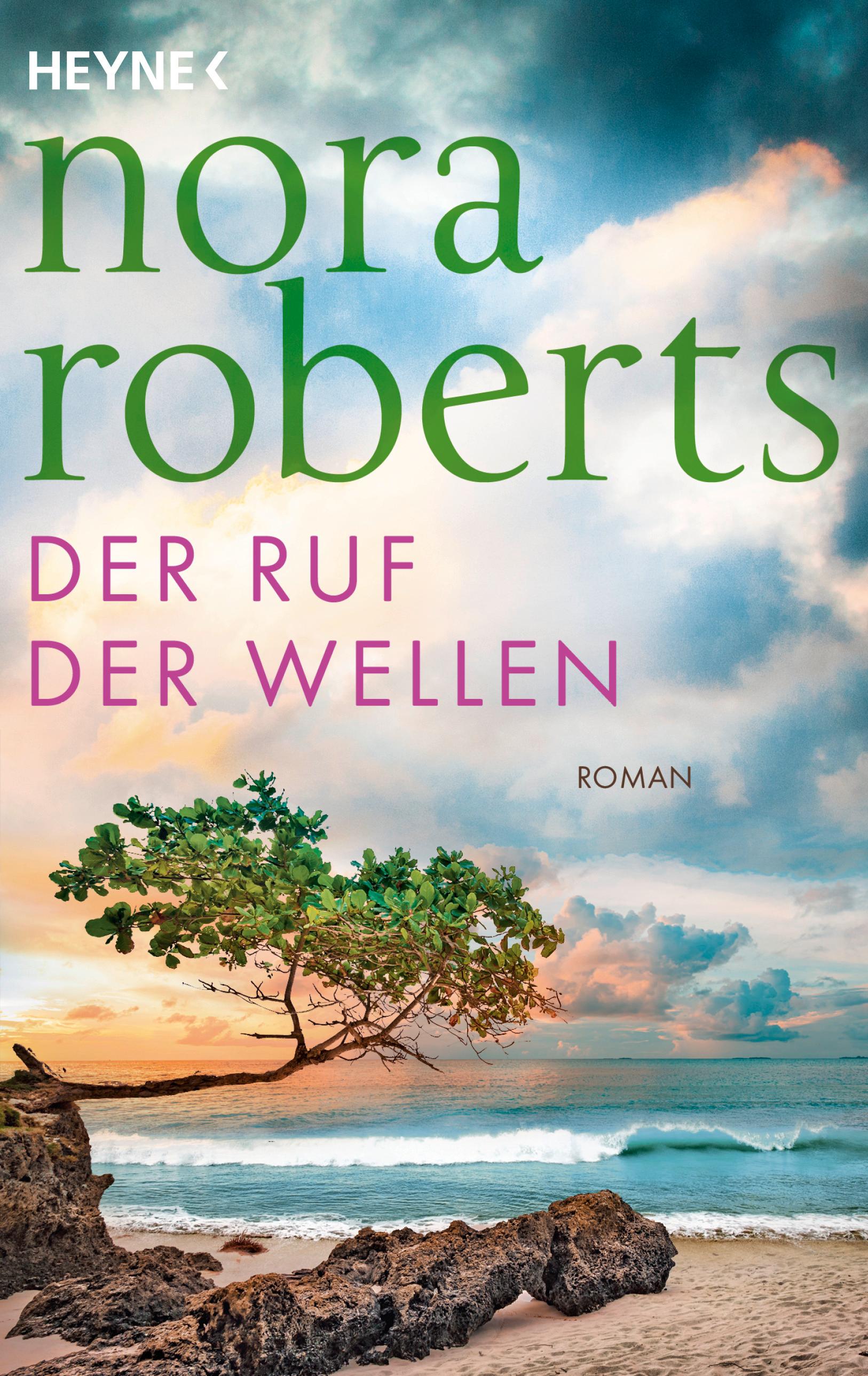 Vorderes Coverbild Der Ruf der Wellen