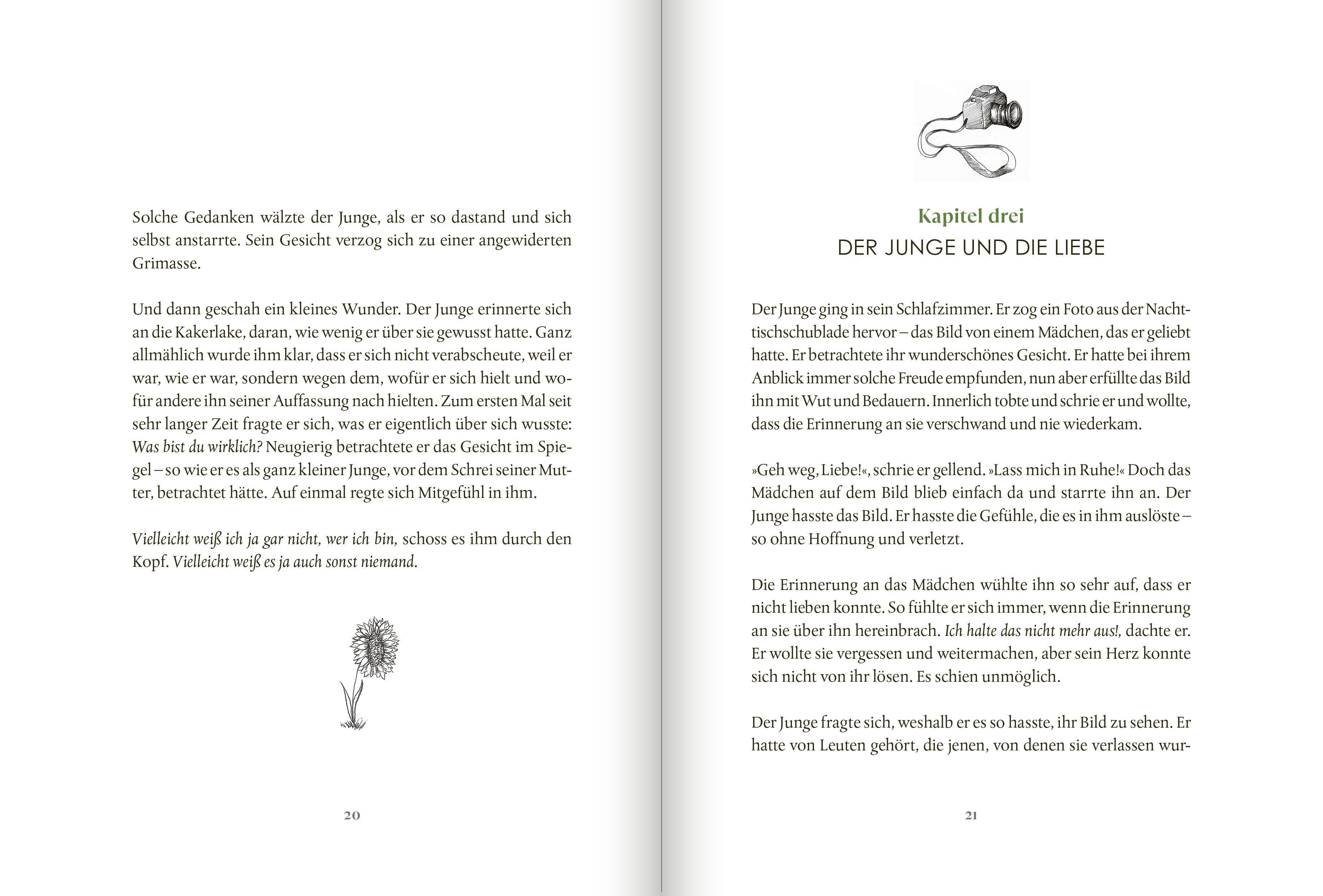 Beispielinhalt (Bild) Der Junge und die Kakerlake