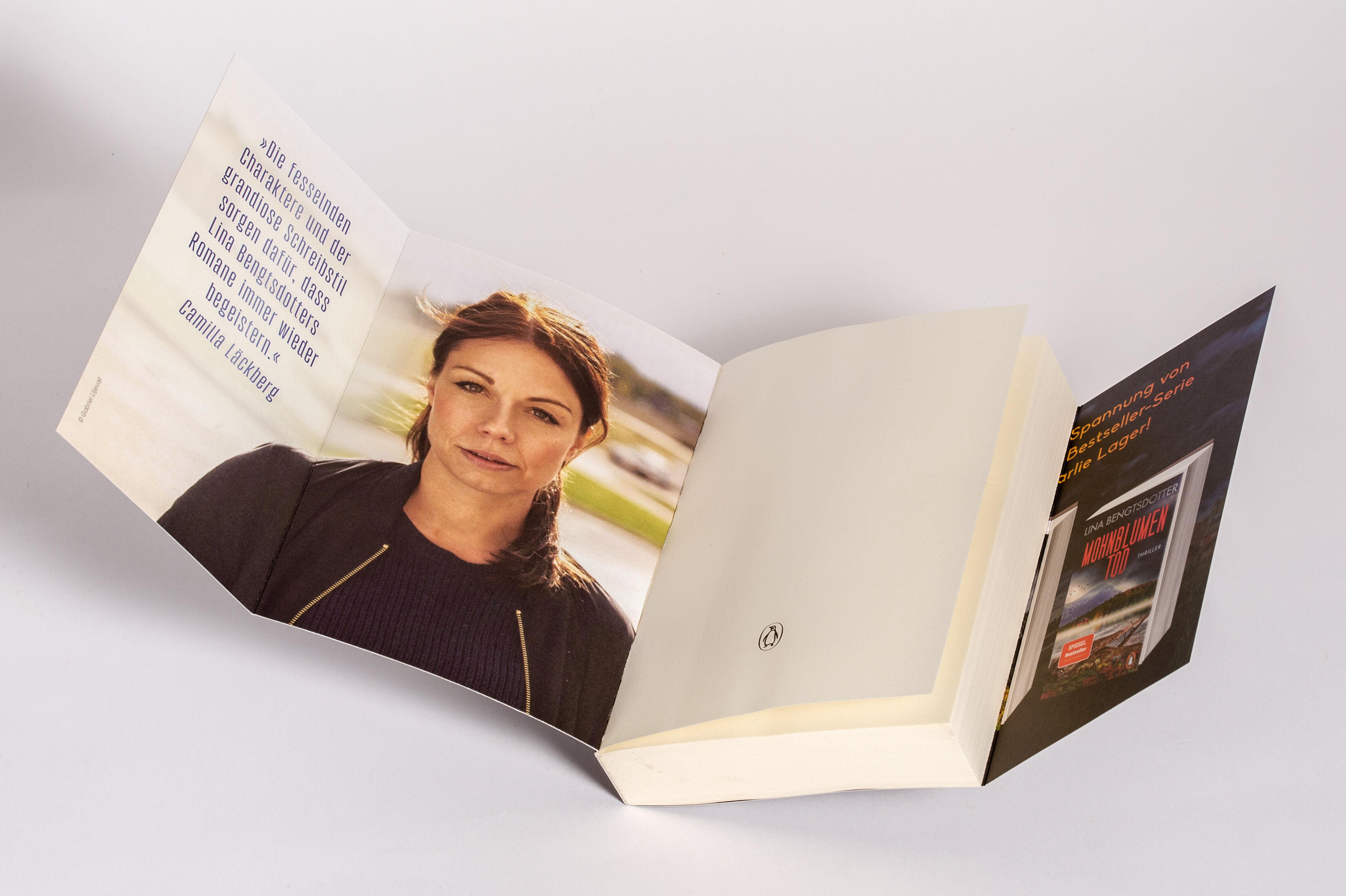 Beispielinhalt (Bild) Flammenschwestern