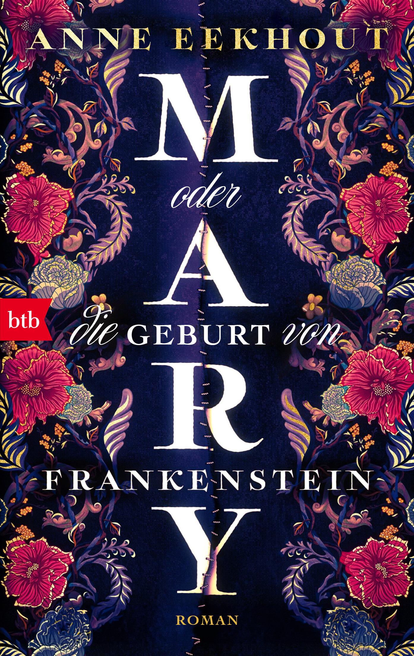 Vorderes Coverbild Mary oder die Geburt von Frankenstein
