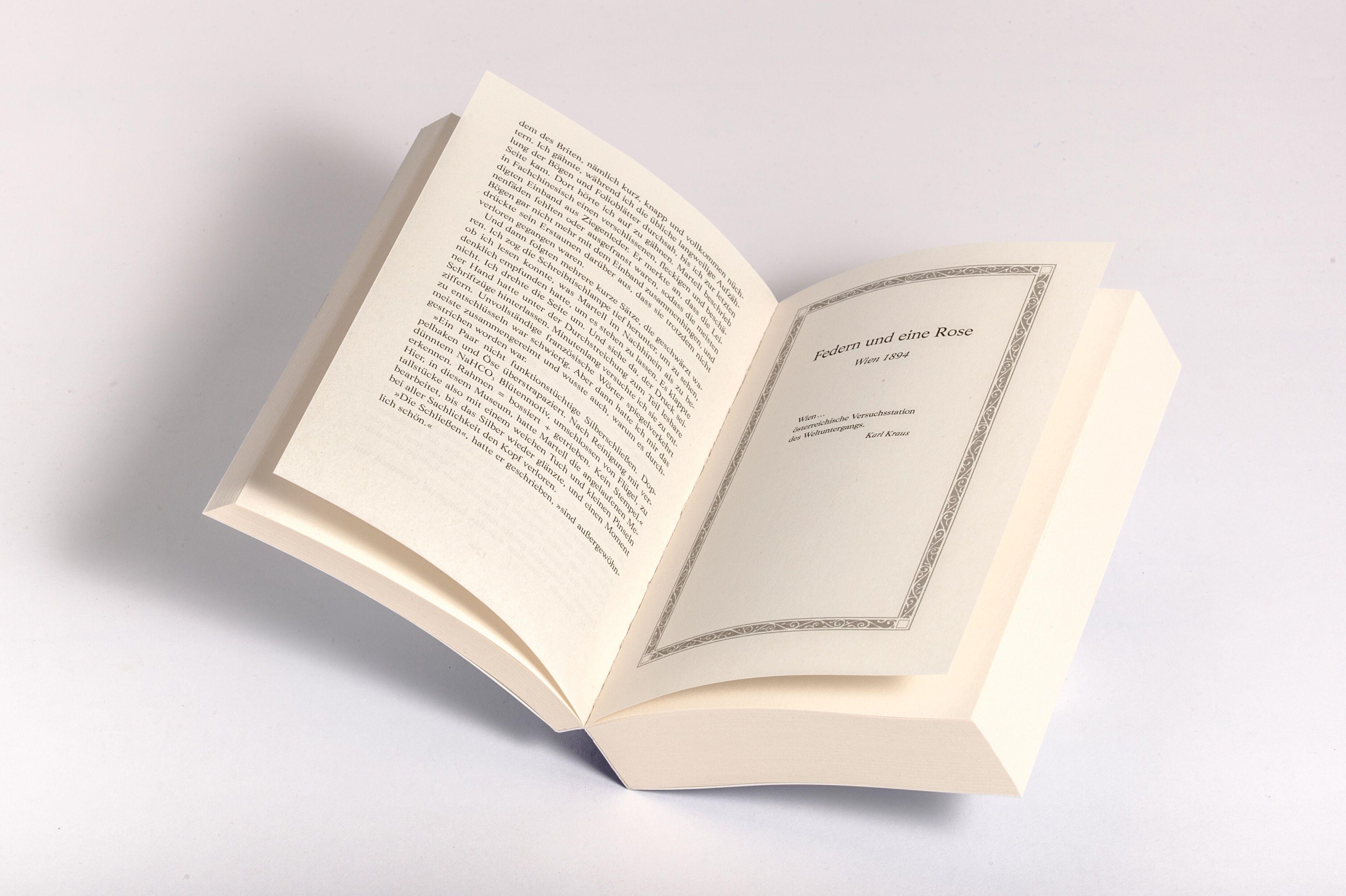 Beispielinhalt (Bild) Die Hochzeitsgabe