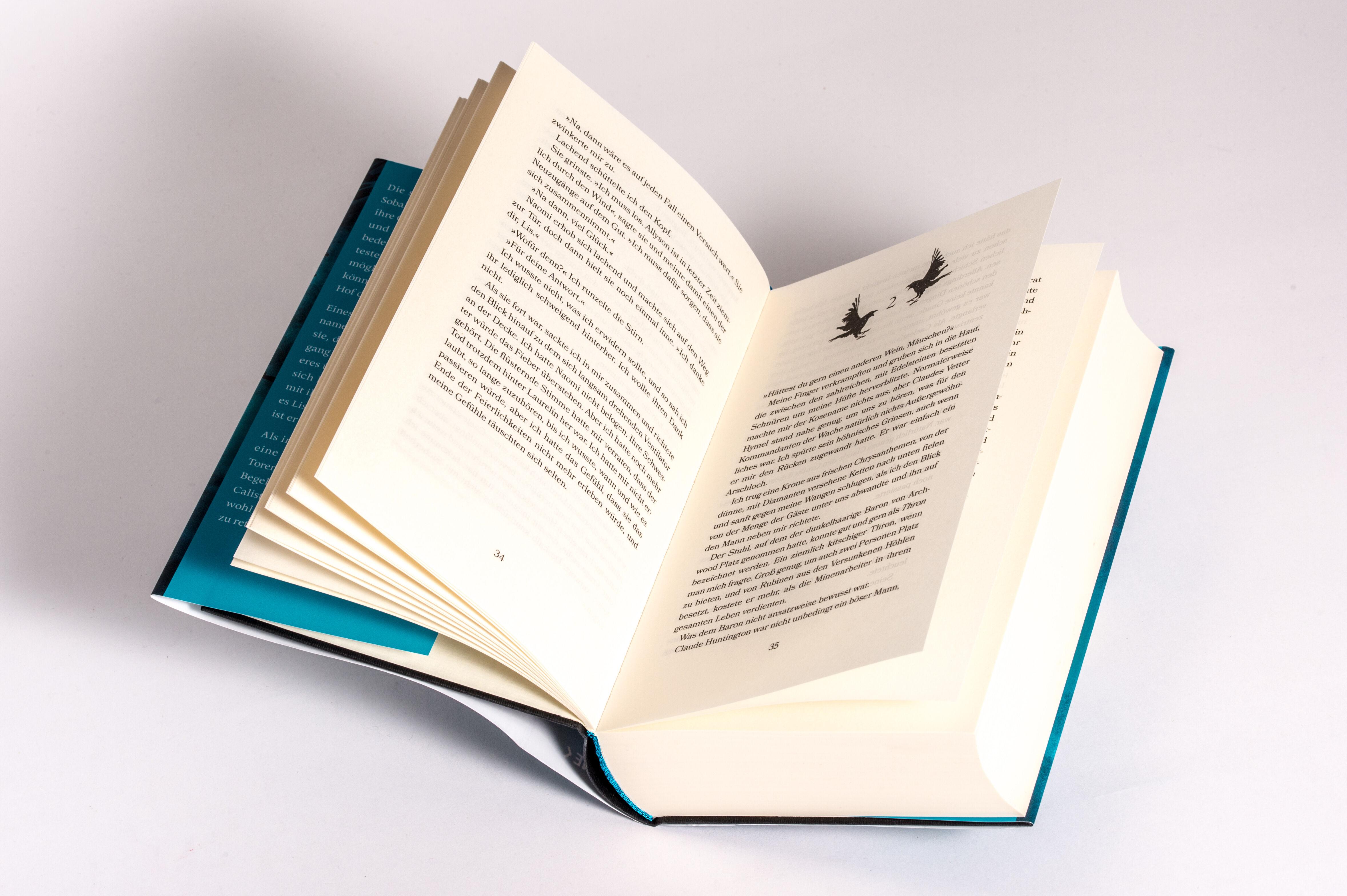 Beispielinhalt (Bild) Ruin and Wrath