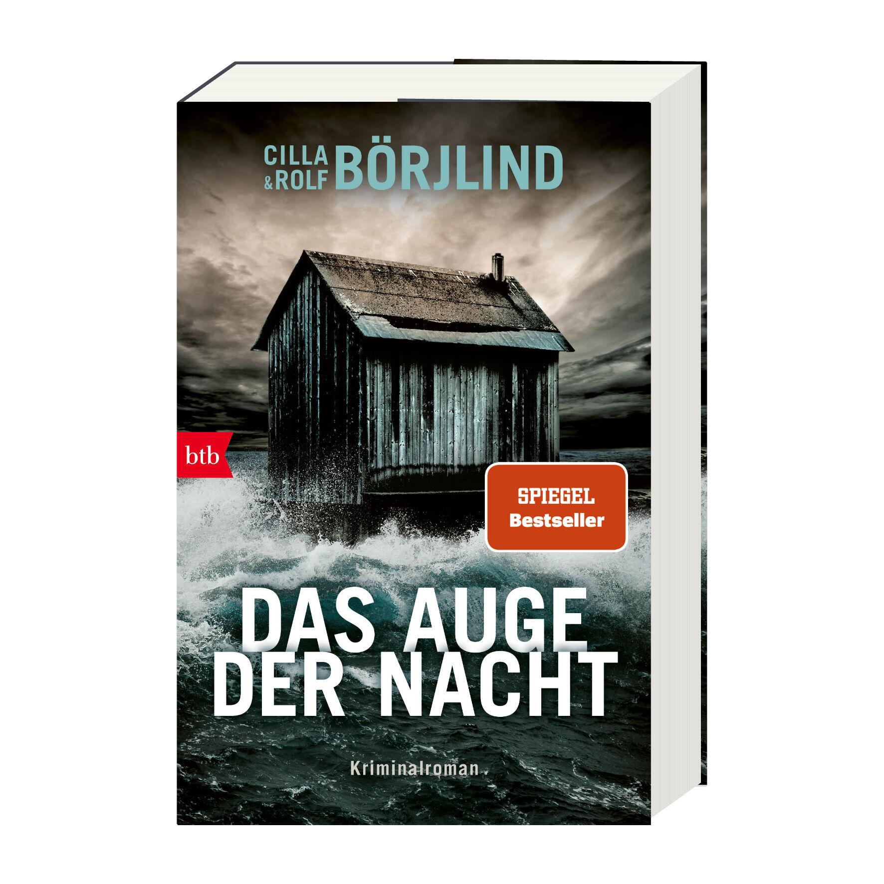 Beispielinhalt (Bild) Das Auge der Nacht