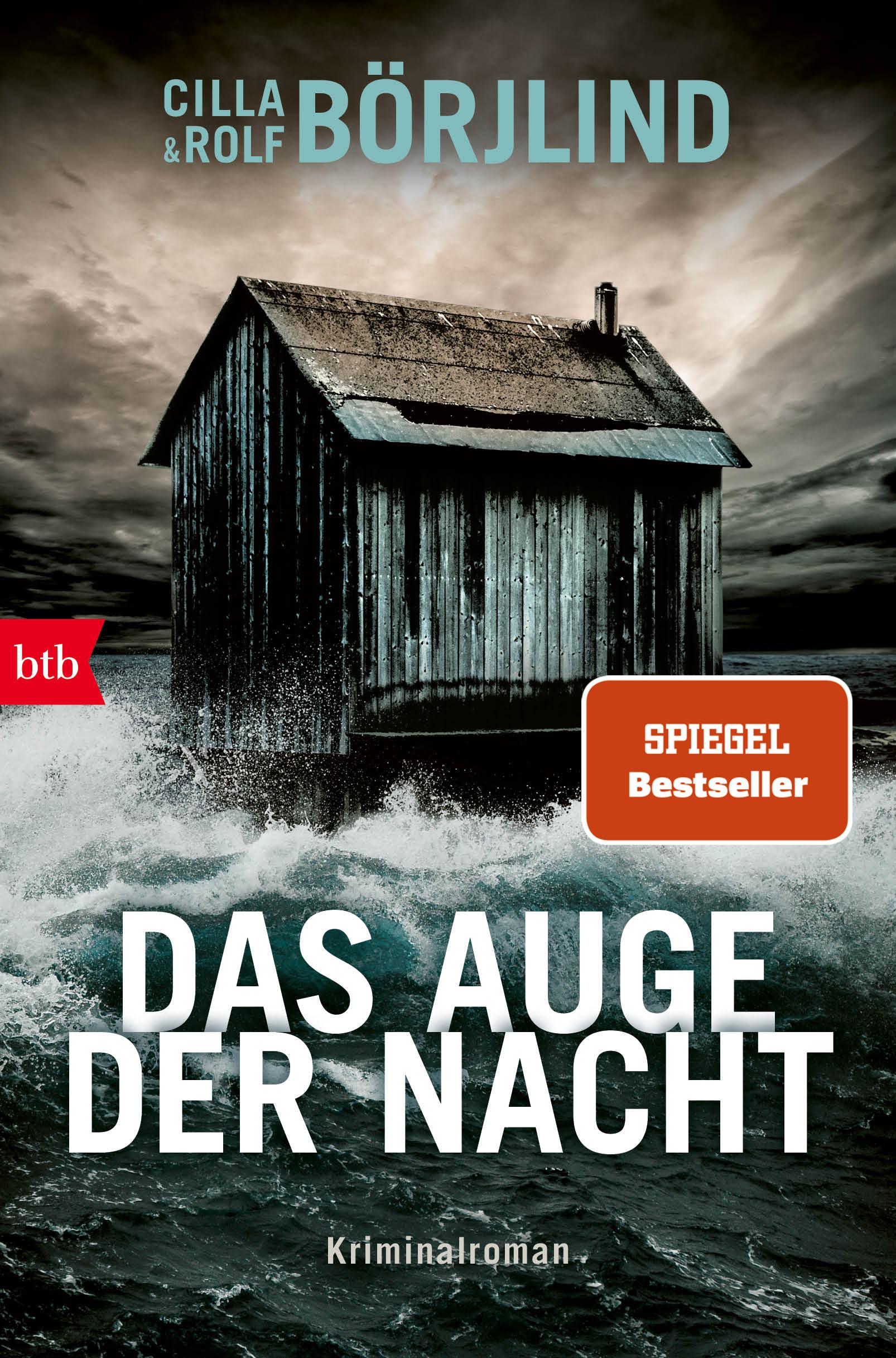 Vorderes Coverbild Das Auge der Nacht