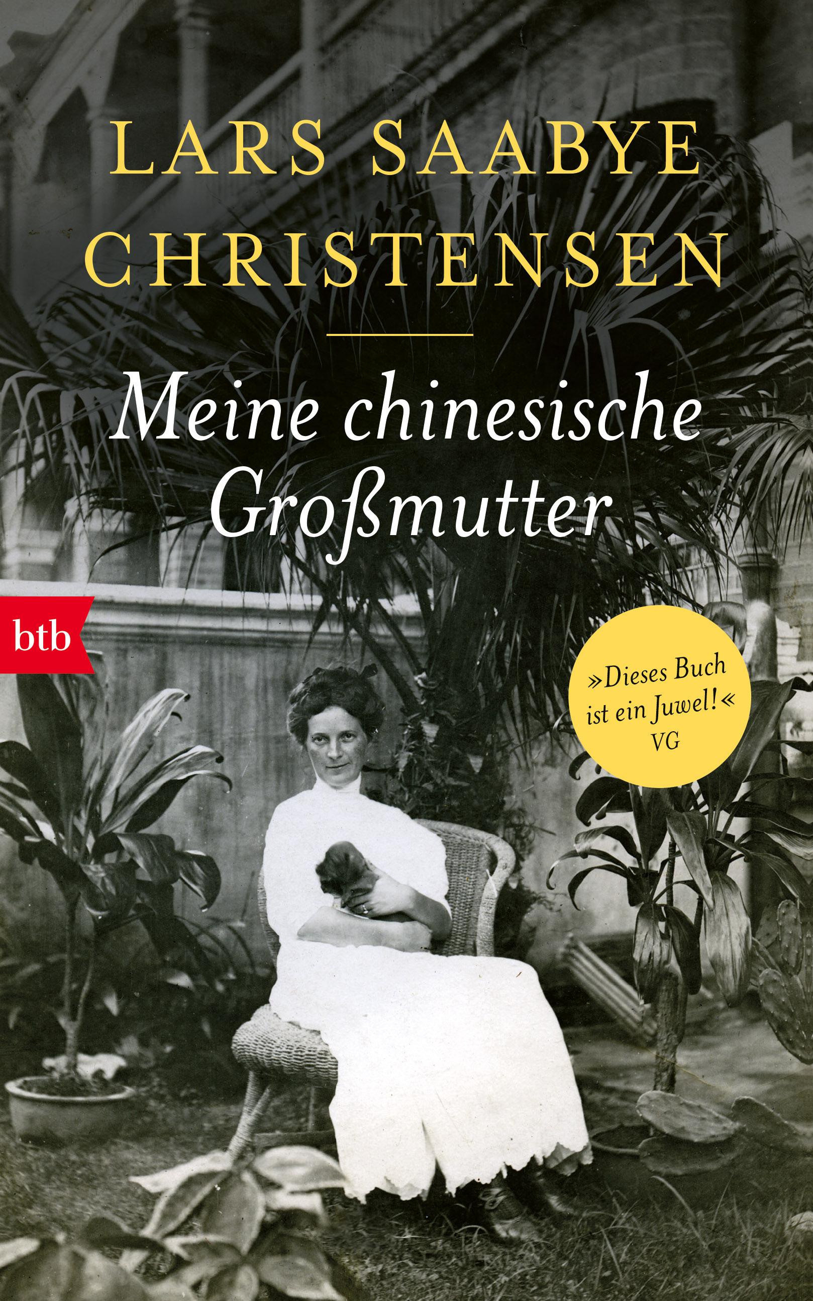 Vorderes Coverbild Meine chinesische Großmutter
