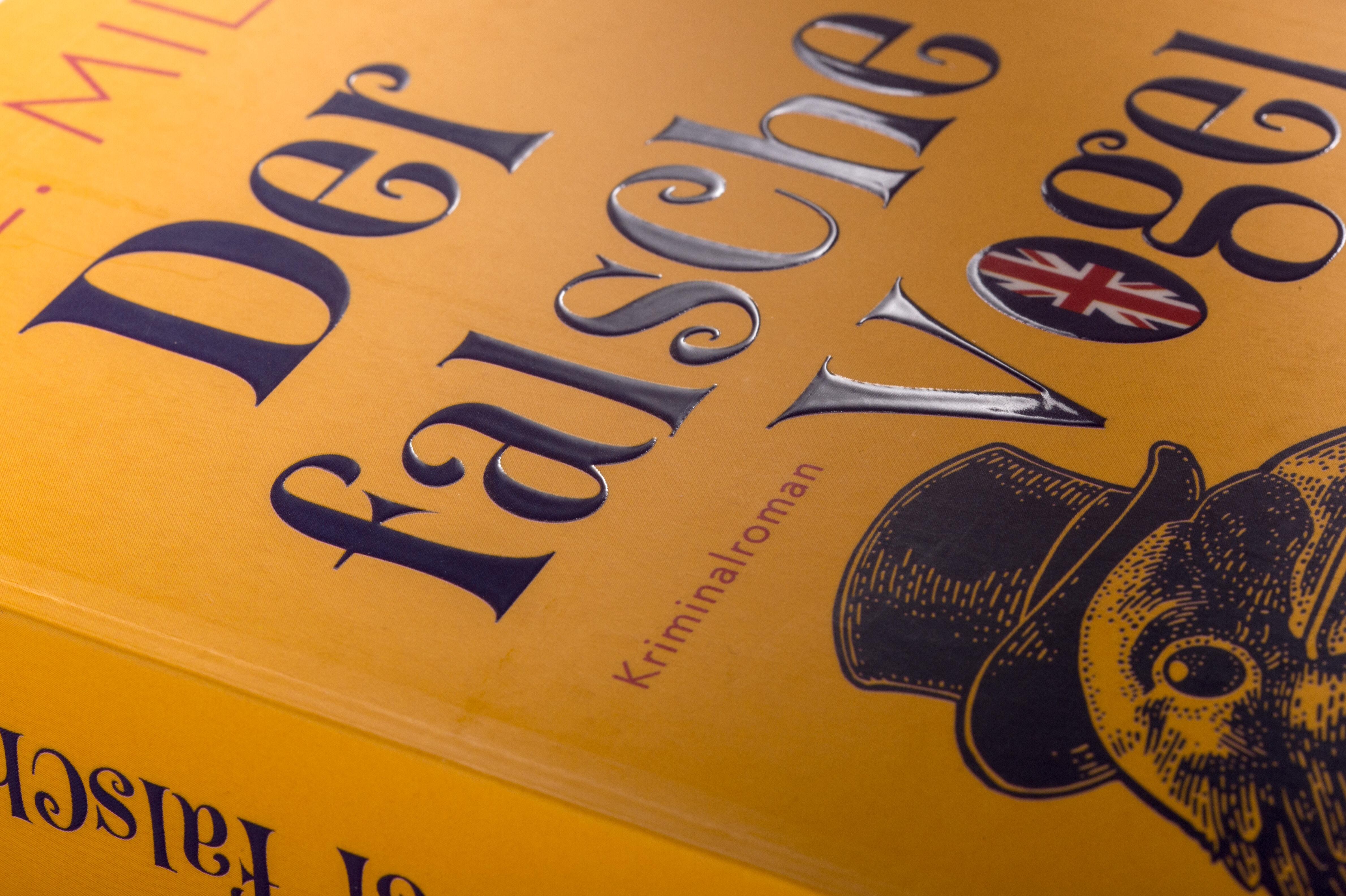 Beispielinhalt (Bild) Der falsche Vogel