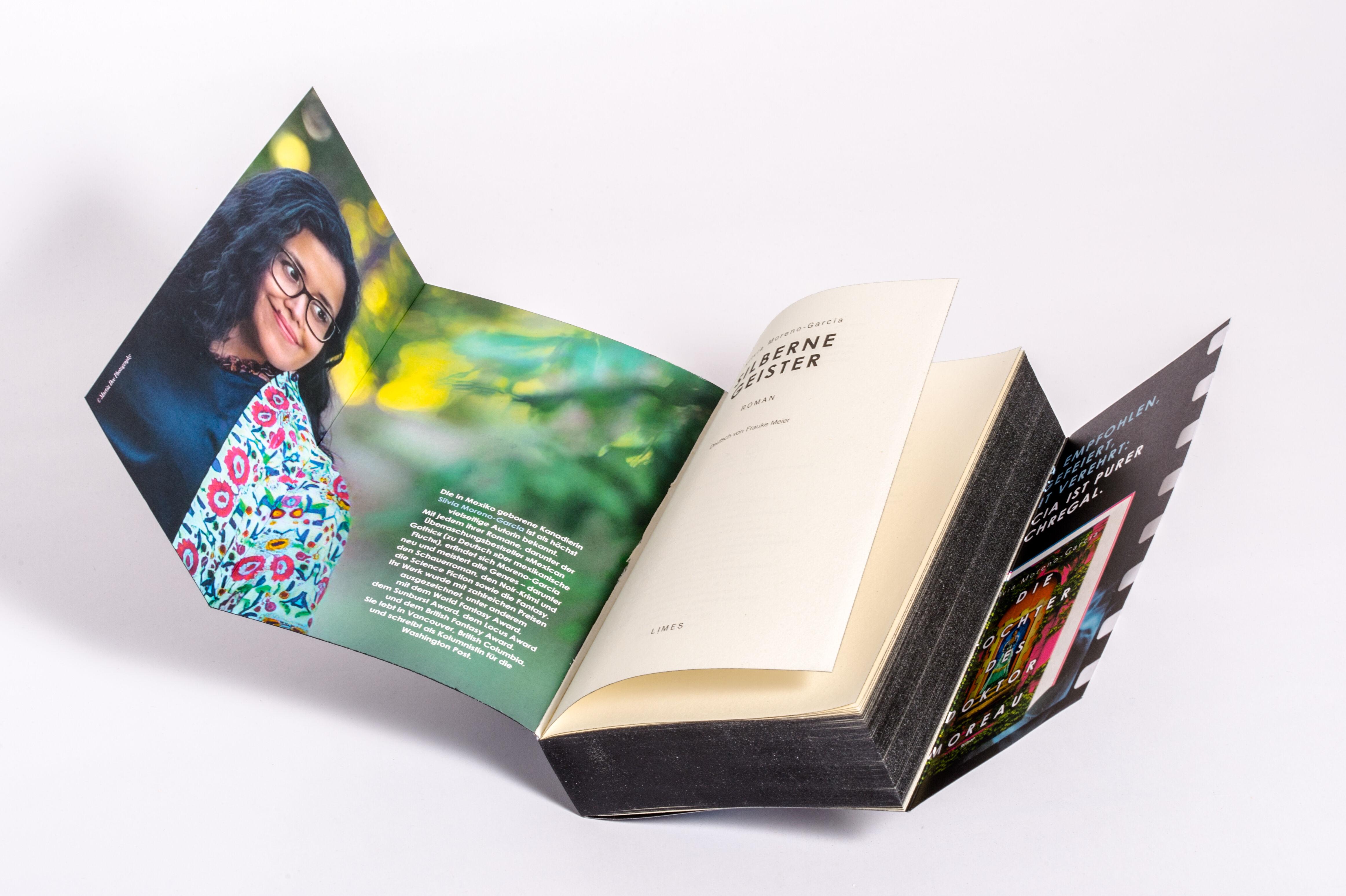 Beispielinhalt (Bild) Silberne Geister