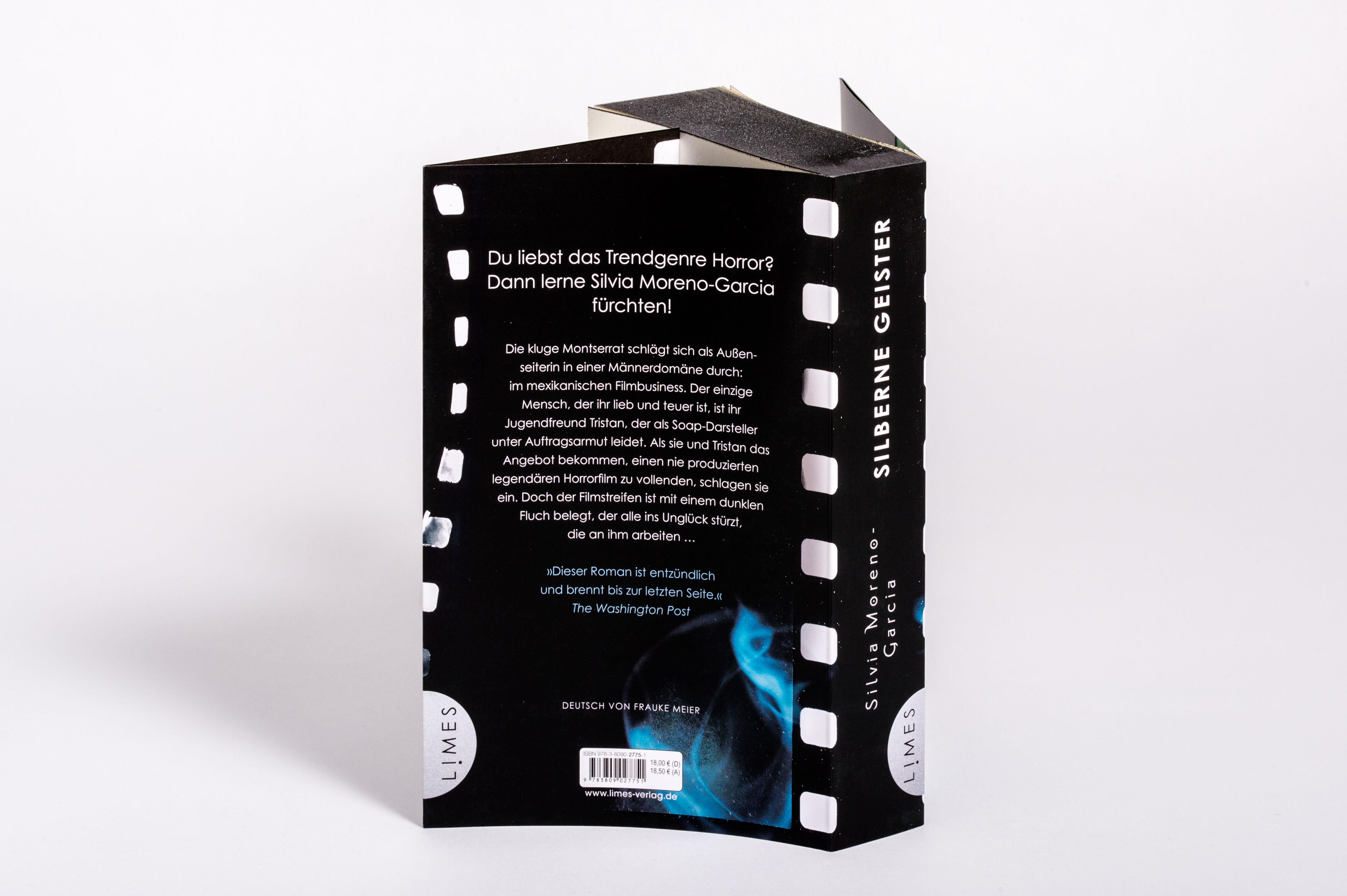 Beispielinhalt (Bild) Silberne Geister