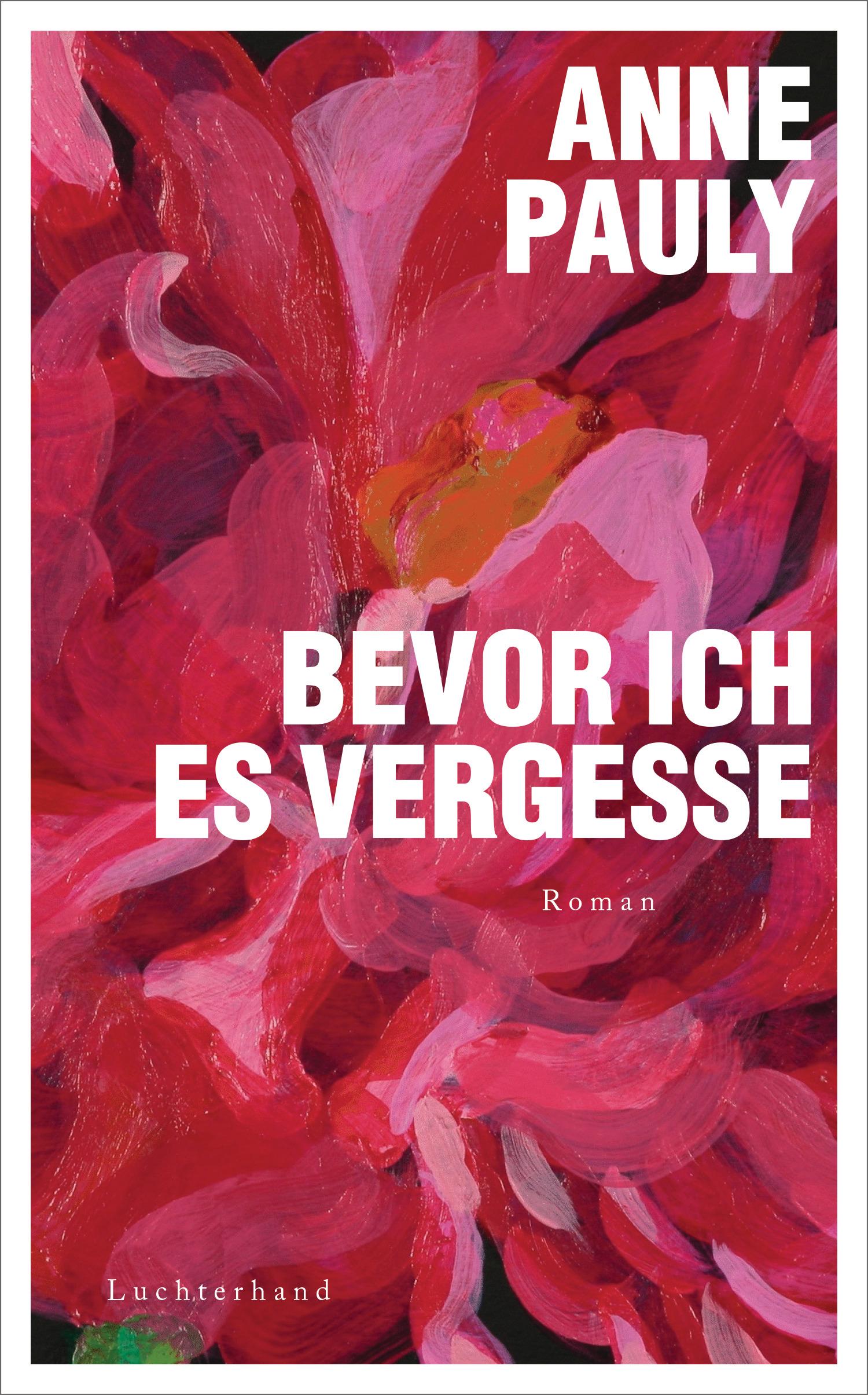 Vorderes Coverbild Bevor ich es vergesse