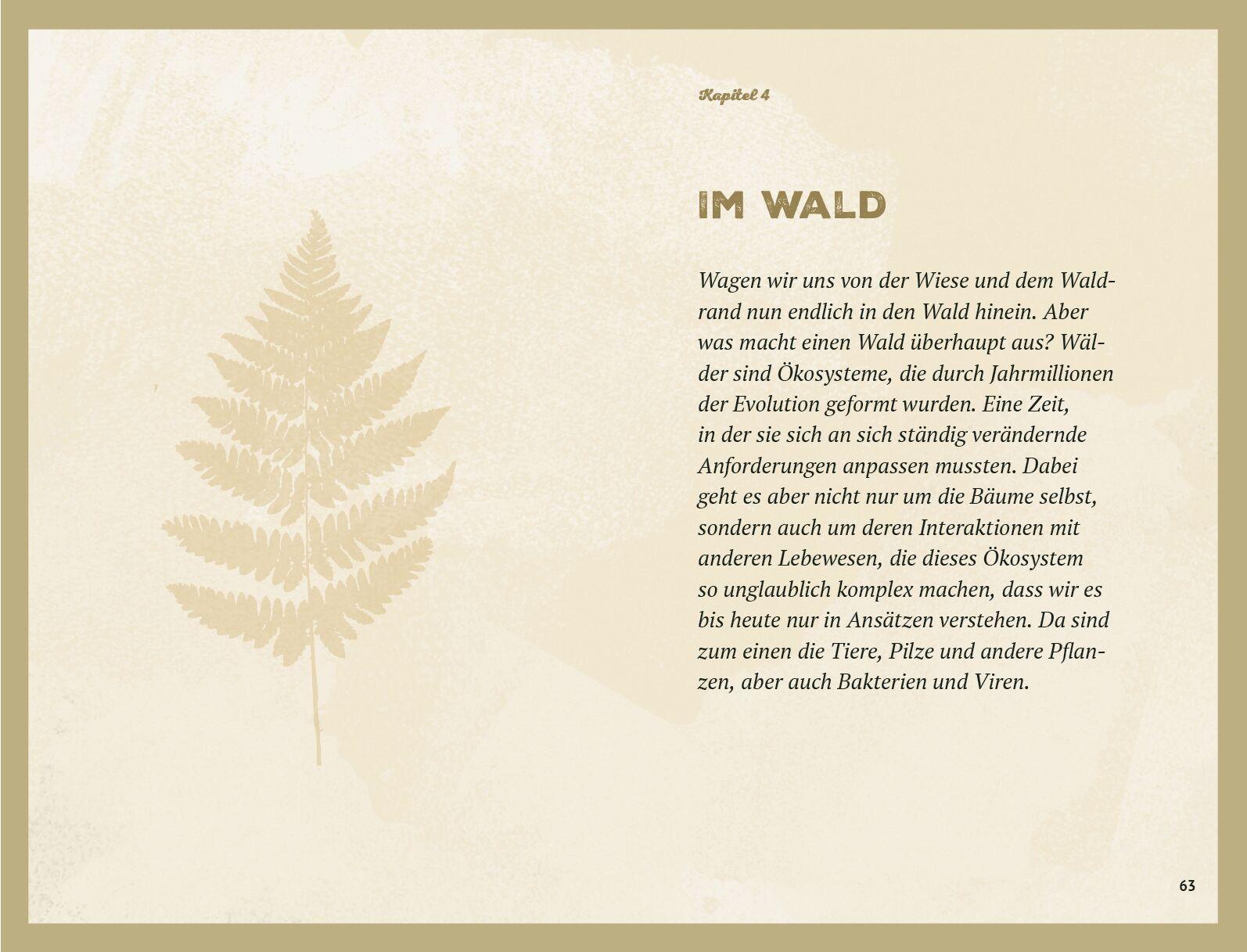 Beispielinhalt (Bild) Waldgeheimnisse