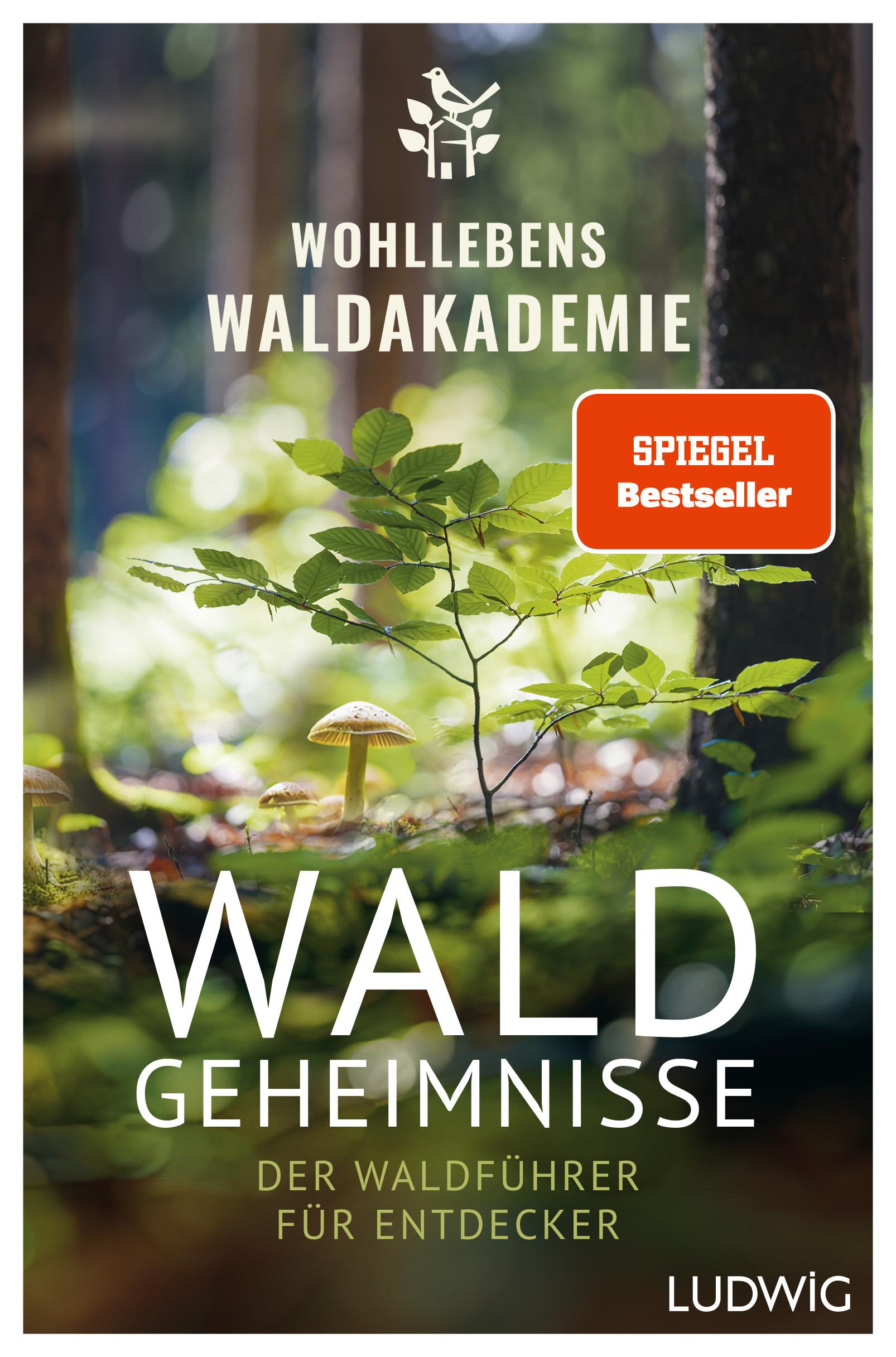 Vorderes Coverbild Waldgeheimnisse