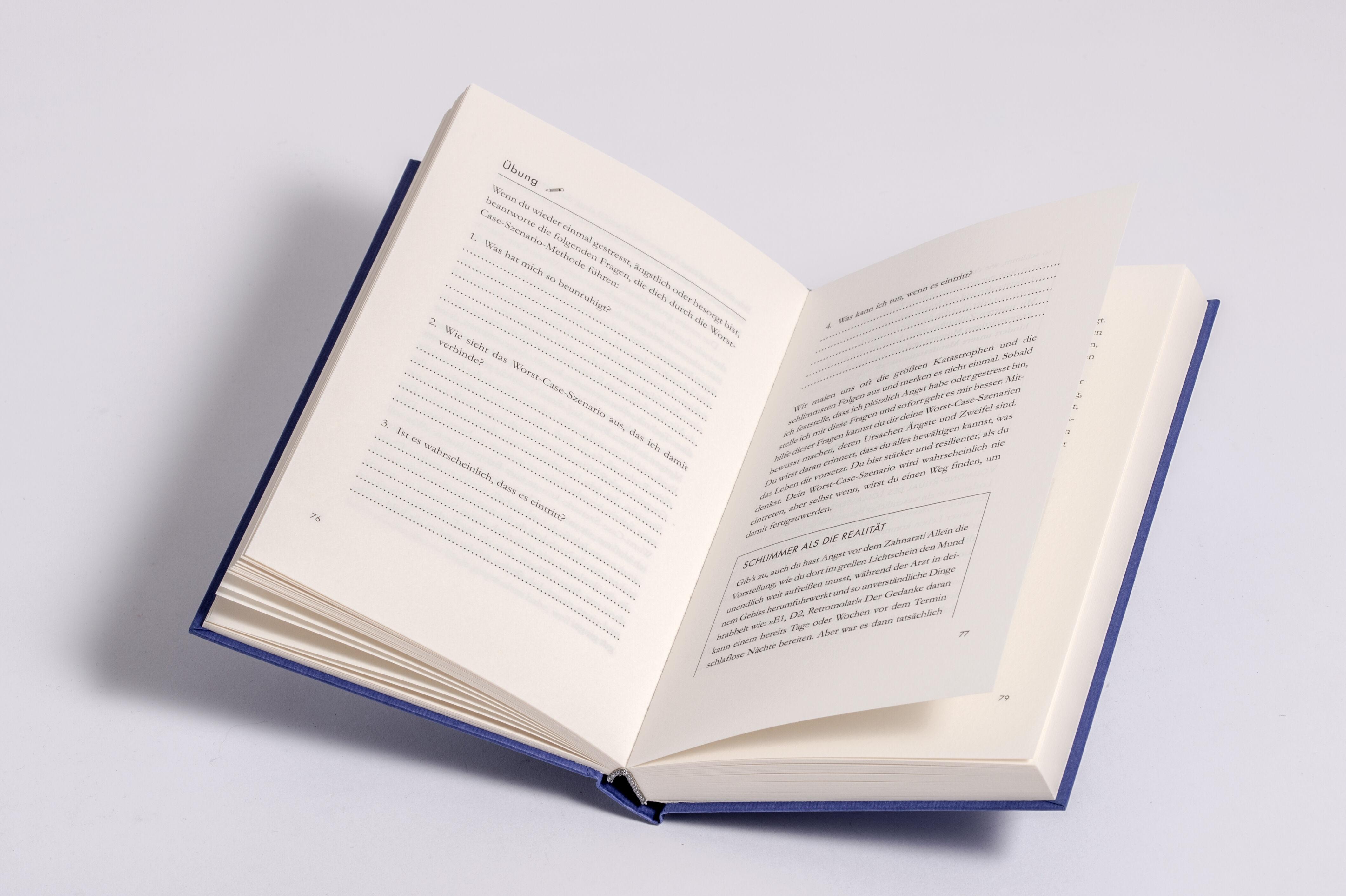 Beispielinhalt (Bild) Manifestiere! Das nächste Level