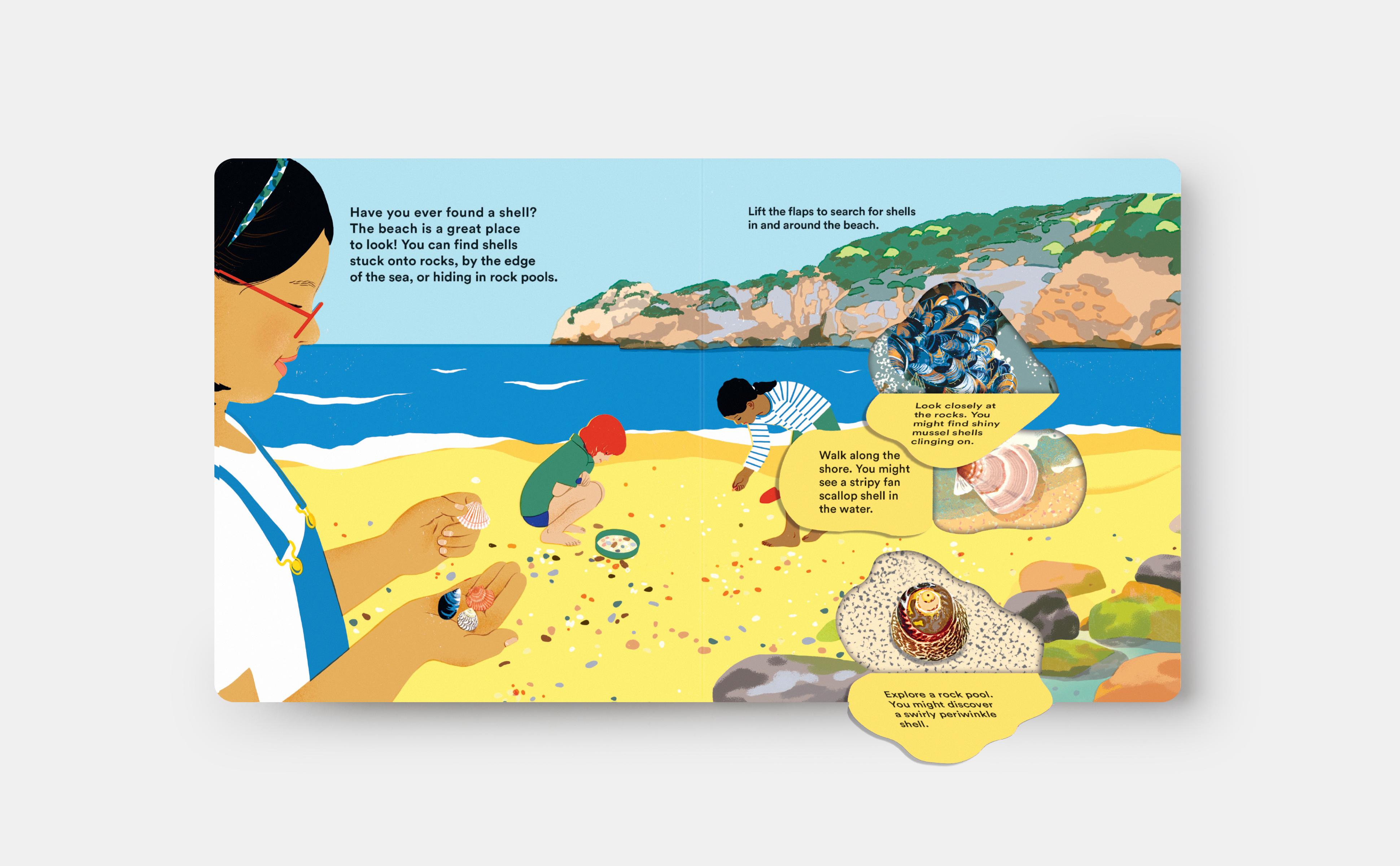 Beispielinhalt (Bild) Shells... and What They Hide Inside