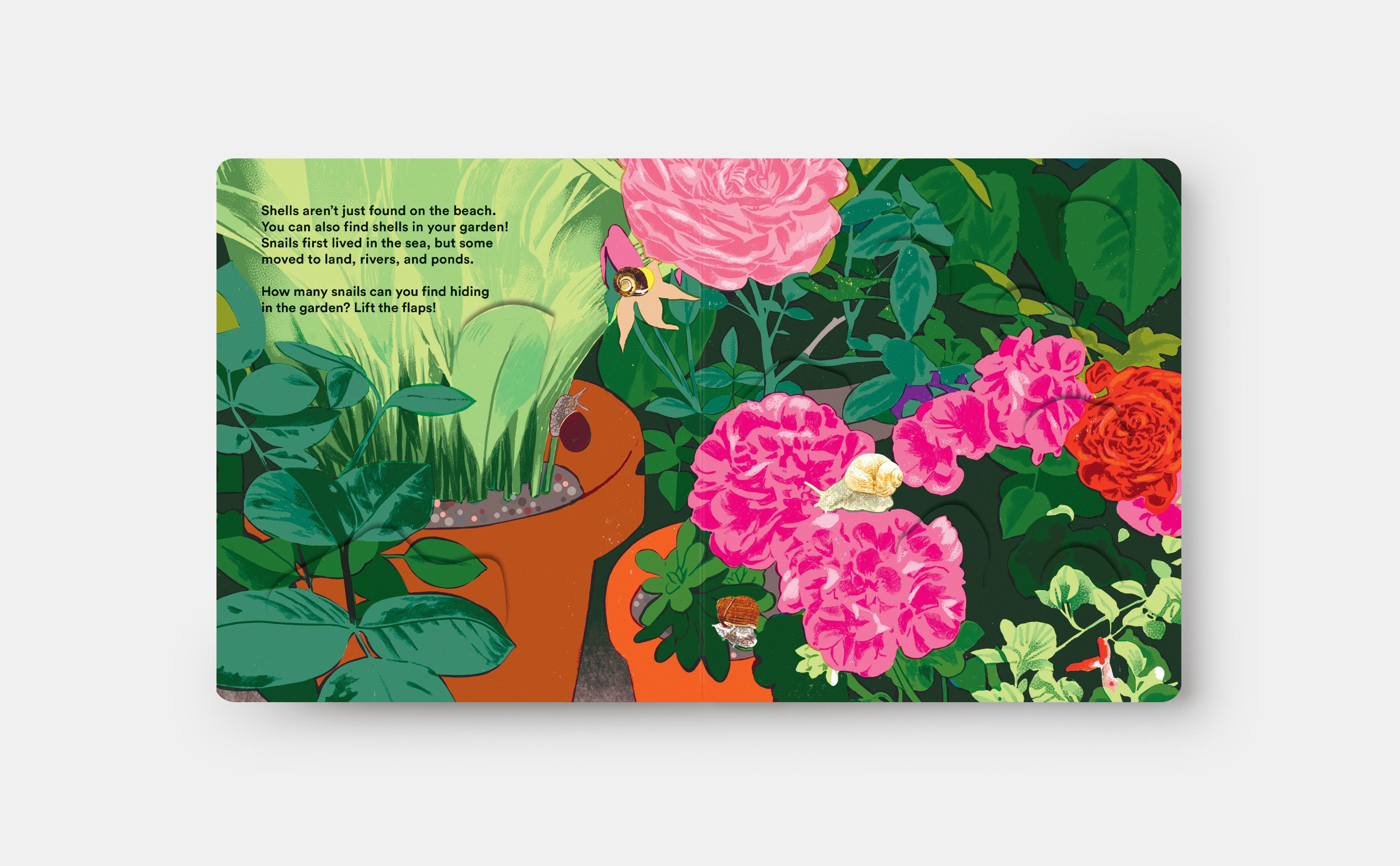 Beispielinhalt (Bild) Shells... and What They Hide Inside