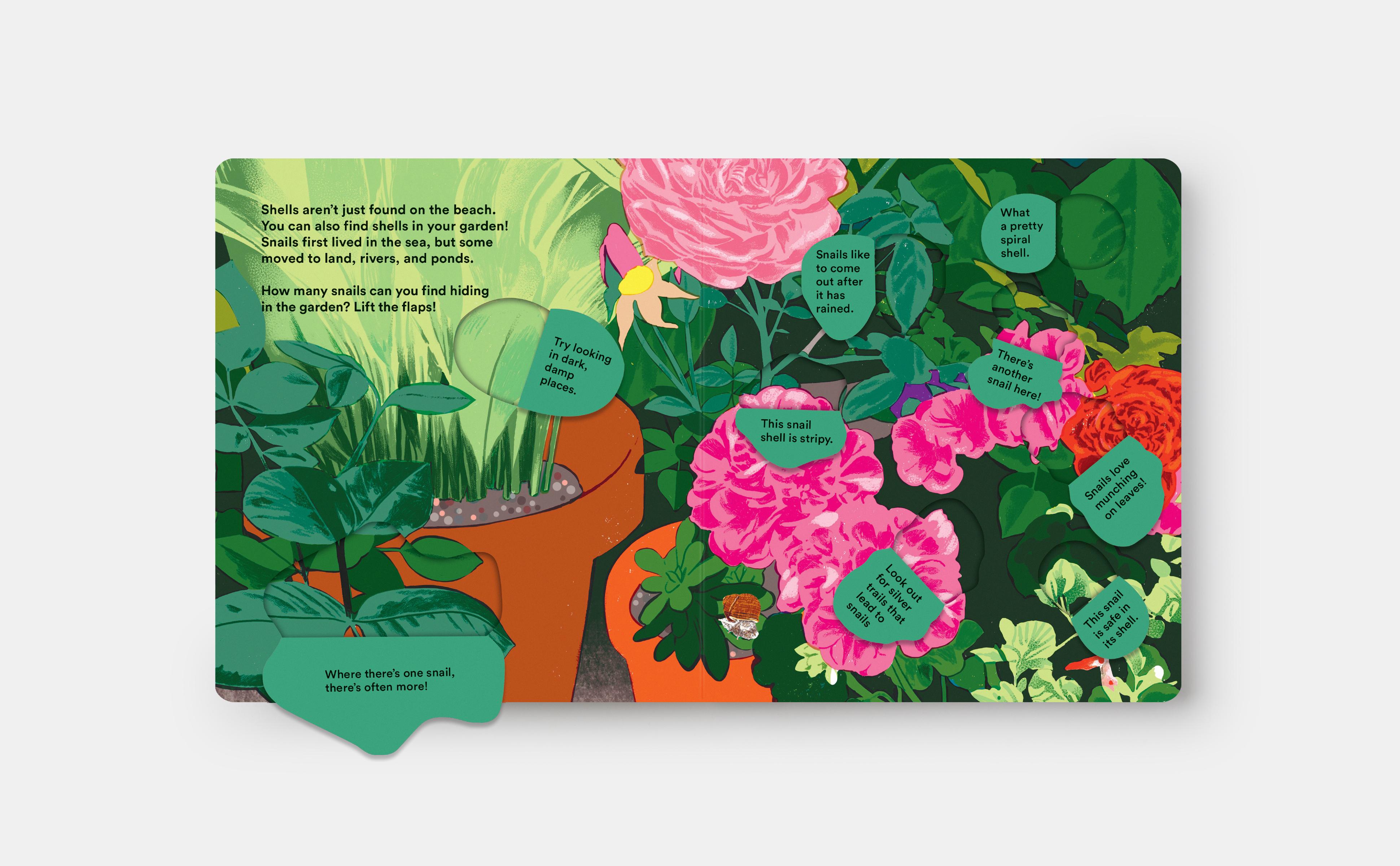 Beispielinhalt (Bild) Shells... and What They Hide Inside