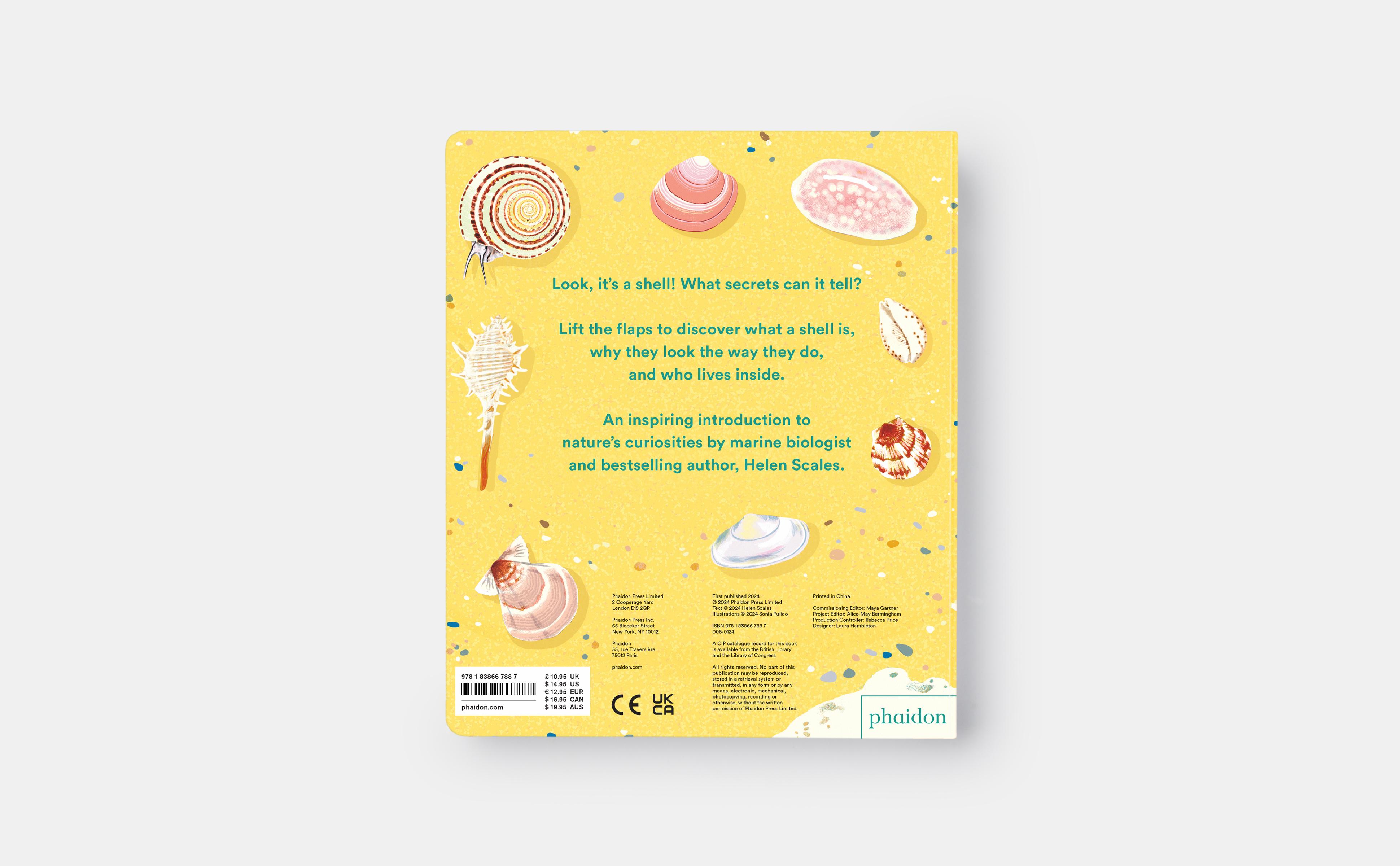 Beispielinhalt (Bild) Shells... and What They Hide Inside