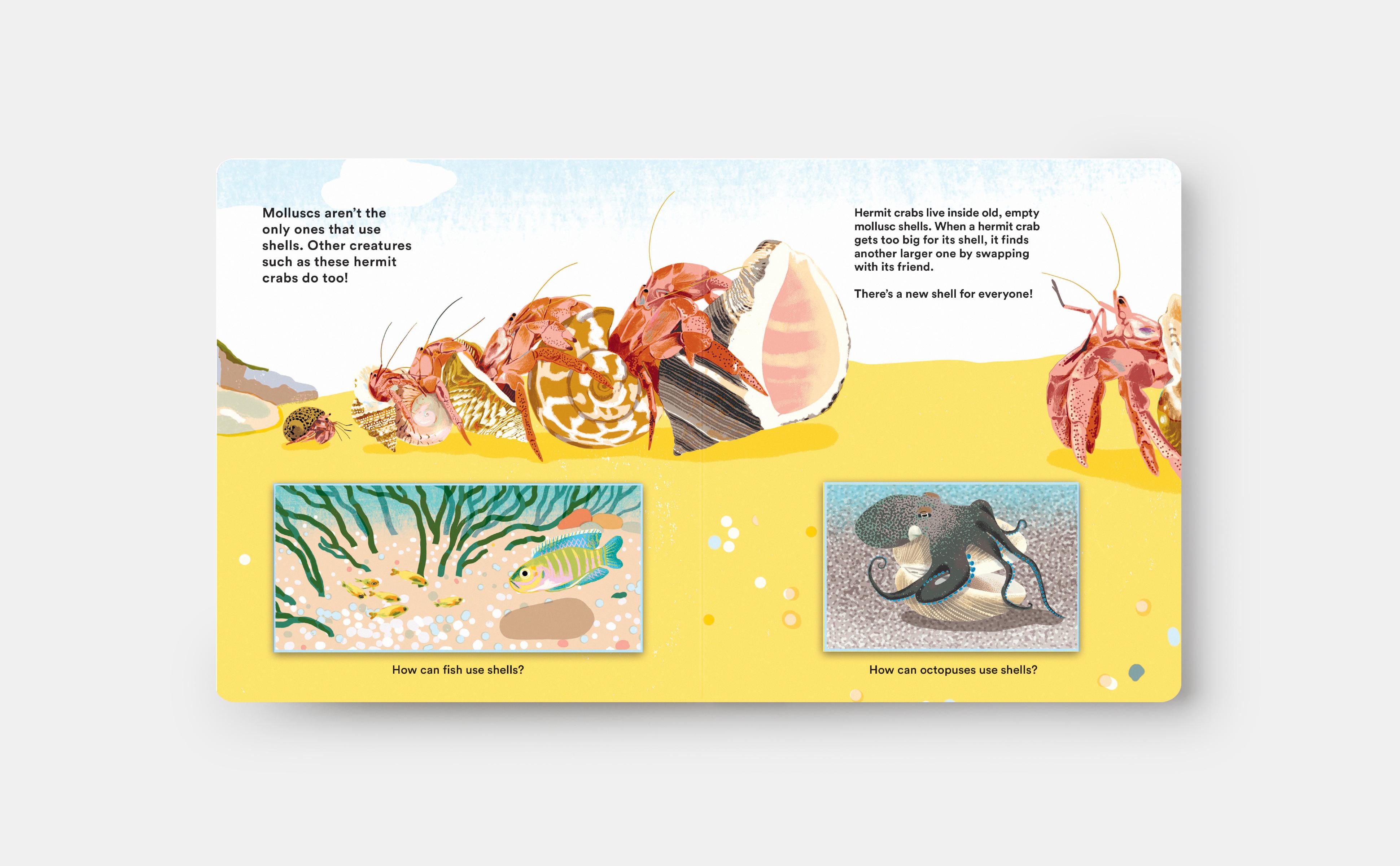 Beispielinhalt (Bild) Shells... and What They Hide Inside