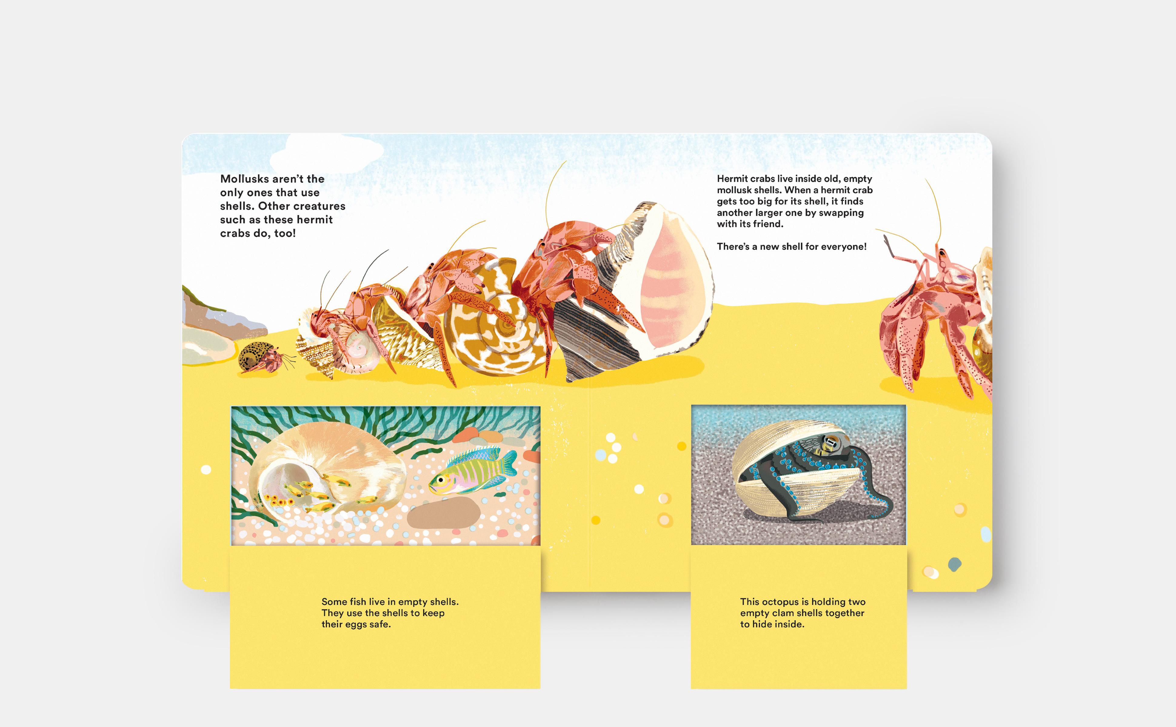 Beispielinhalt (Bild) Shells... and What They Hide Inside