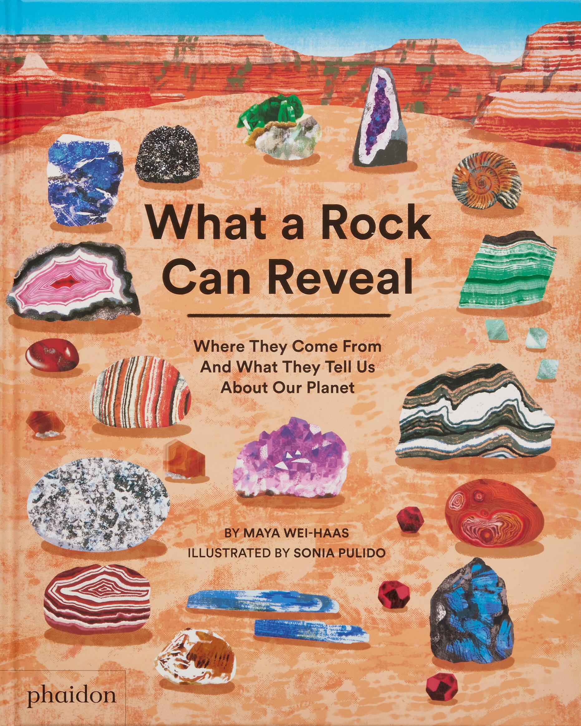 Vorderes Coverbild What a Rock Can Reveal