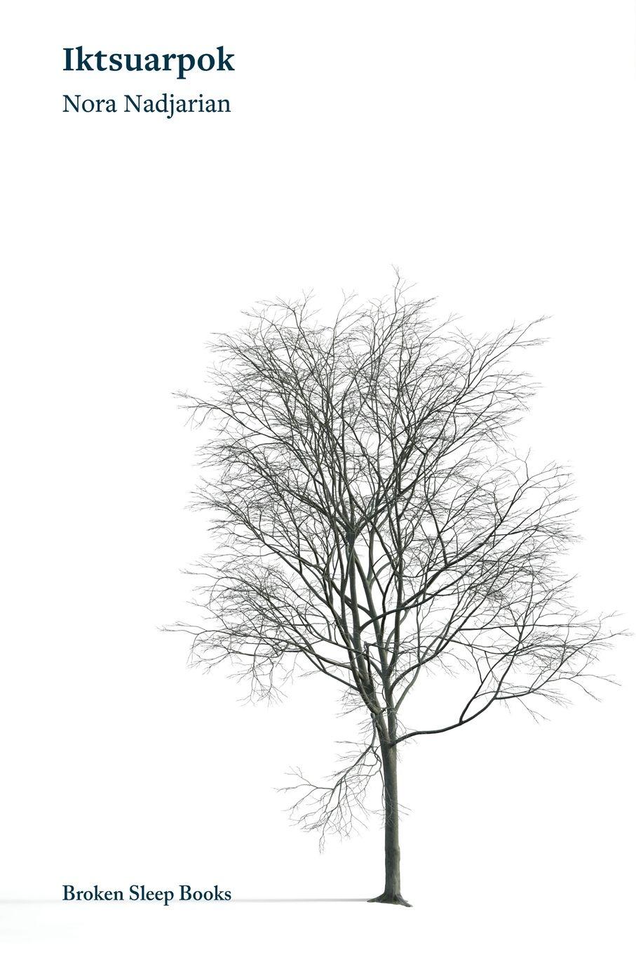 Vorderes Coverbild Iktsuarpok