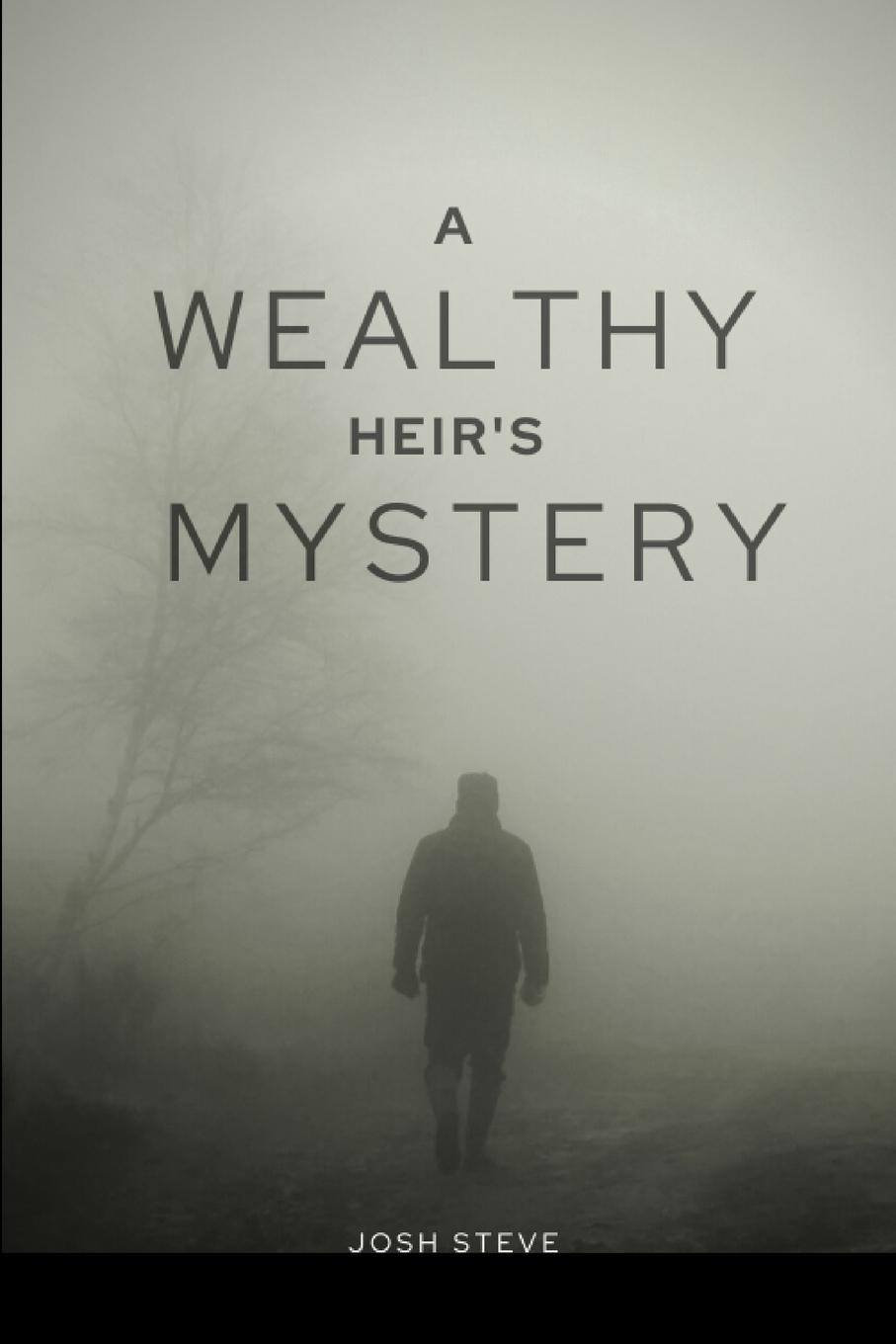 Vorderes Coverbild A Wealthy Heir's Mystery