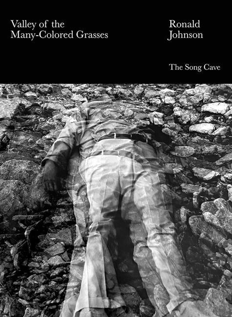 Vorderes Coverbild Valley of the Many-Colored Grasses