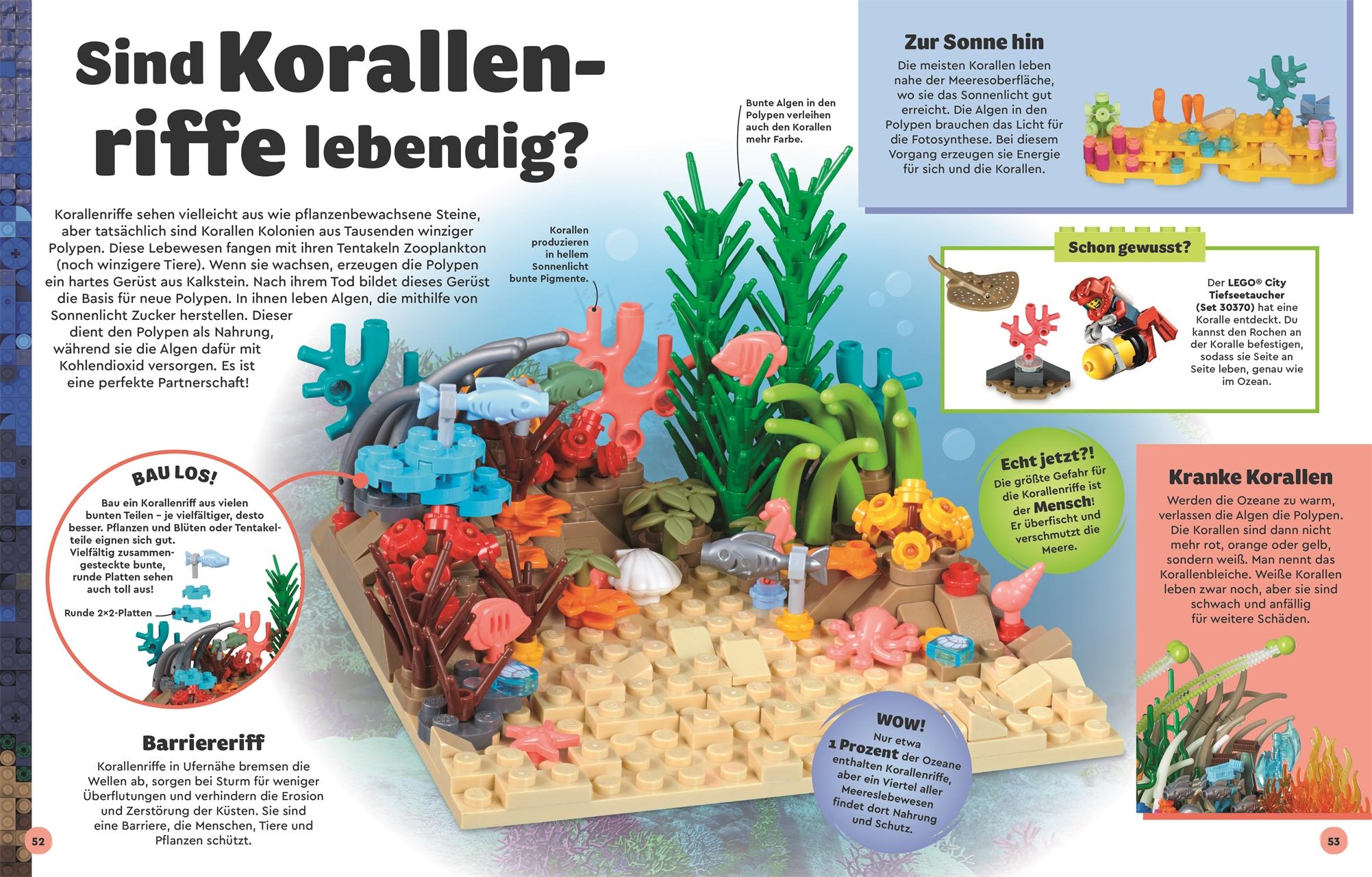 Beispielinhalt (Bild) LEGO® Entdecke die Erde