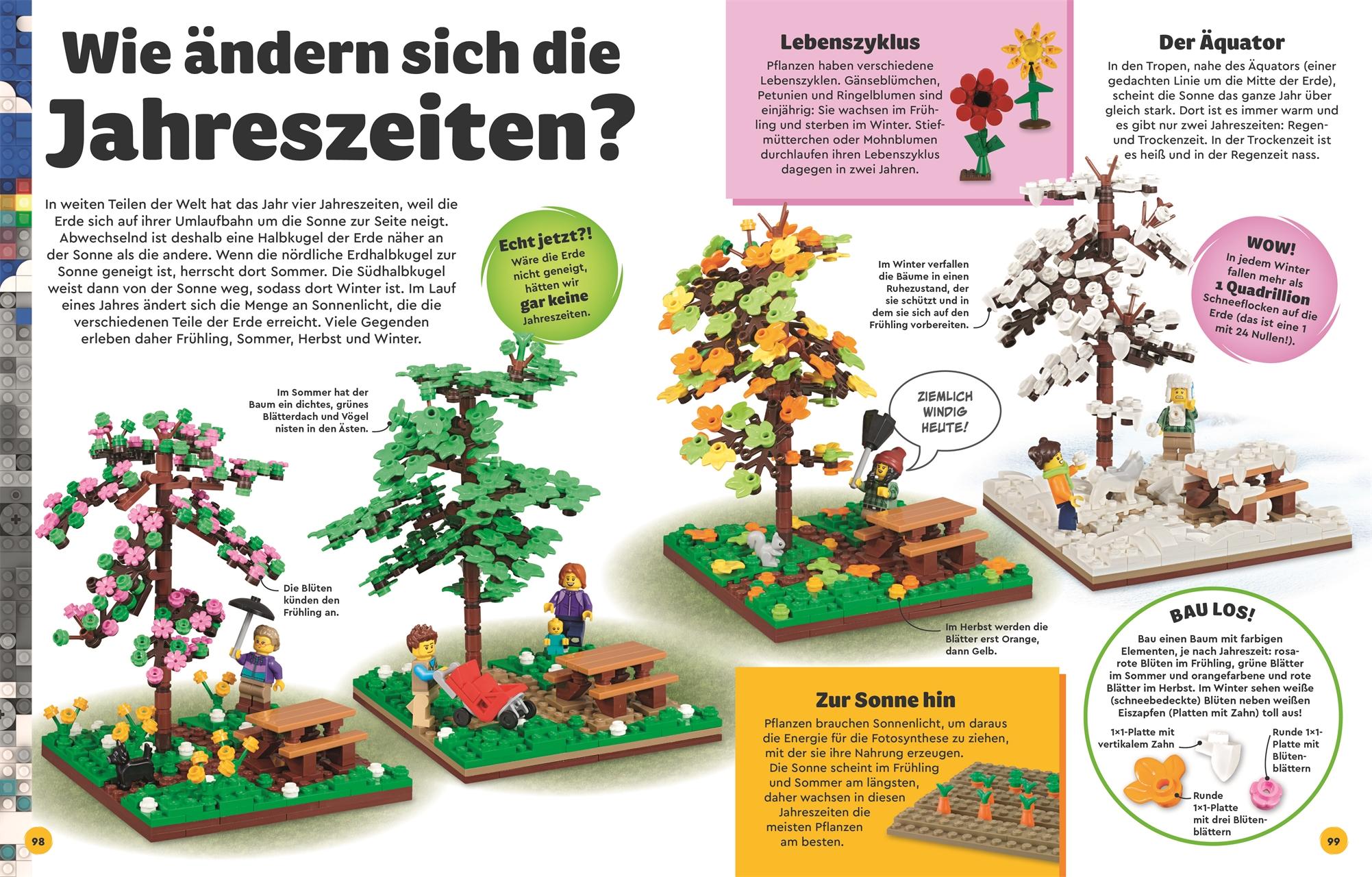 Beispielinhalt (Bild) LEGO® Entdecke die Erde