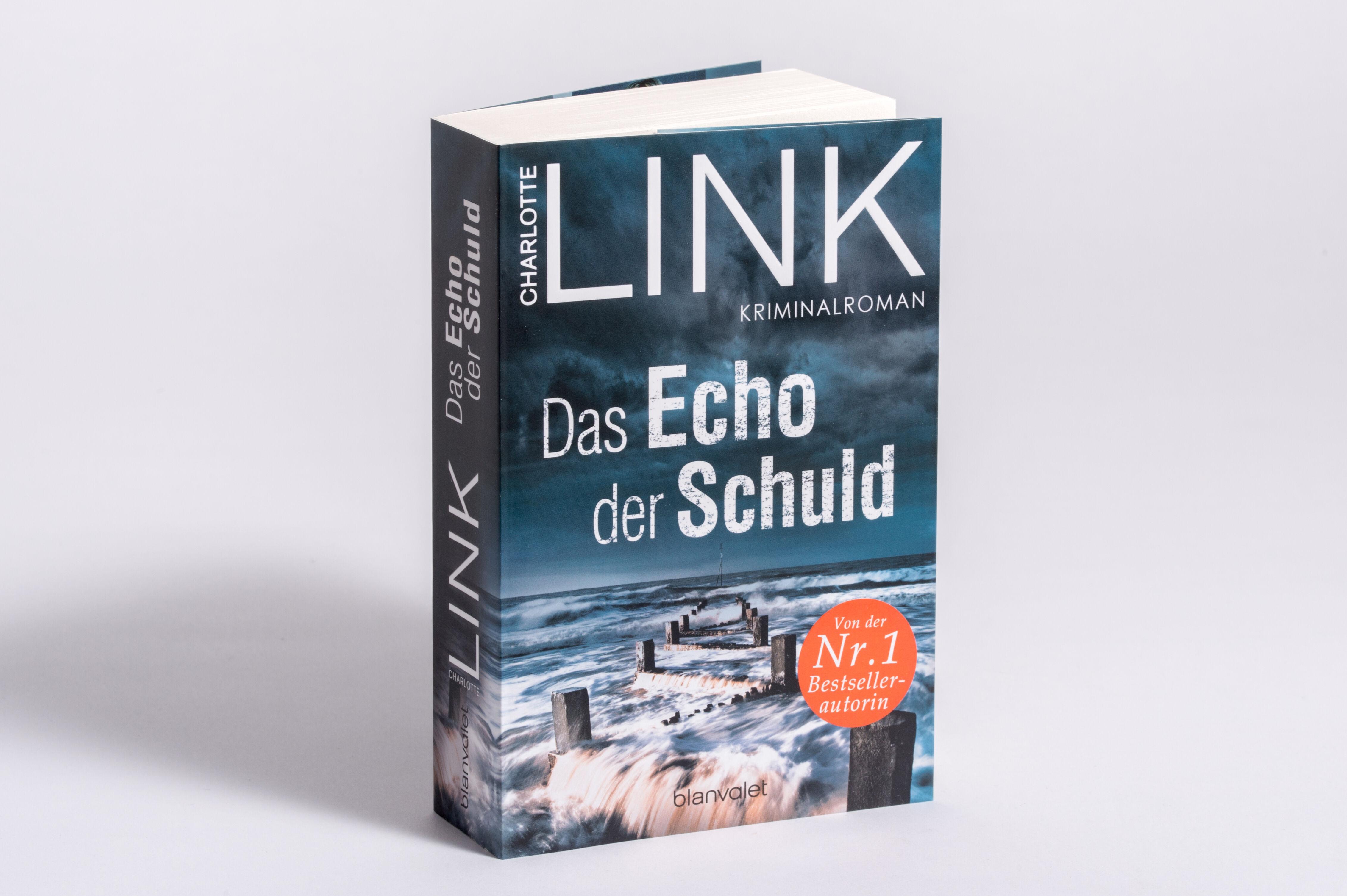 Beispielinhalt (Bild) Das Echo der Schuld