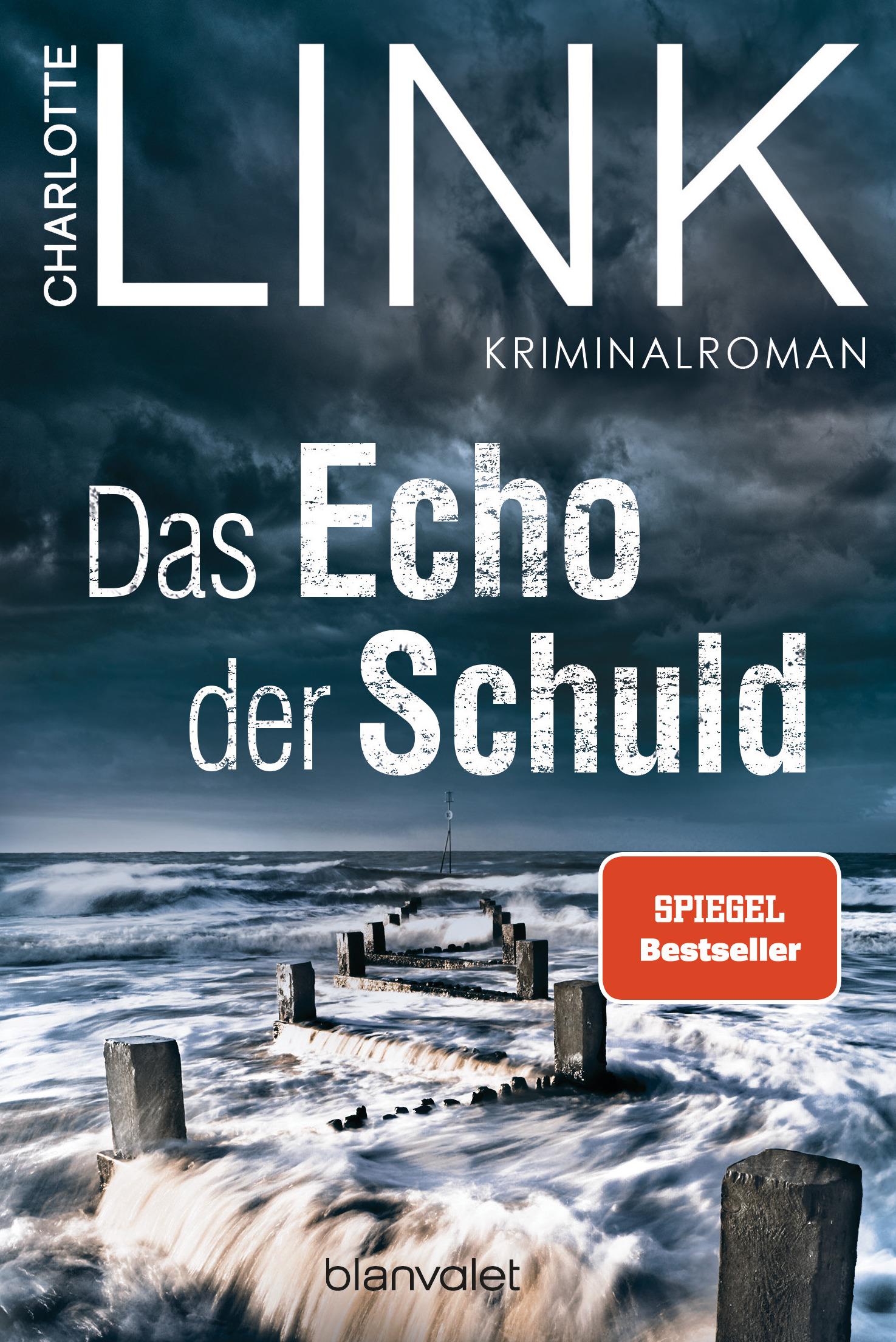 Vorderes Coverbild Das Echo der Schuld