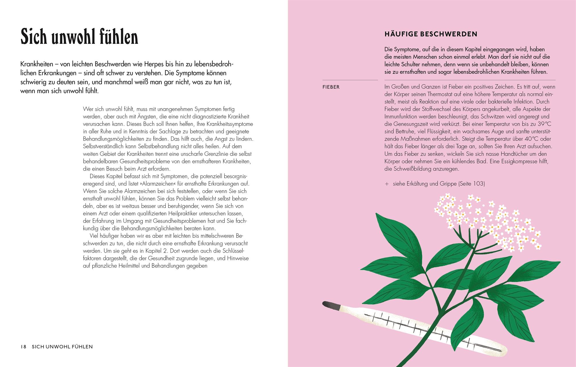 Beispielinhalt (Bild) Die pflanzliche Hausapotheke