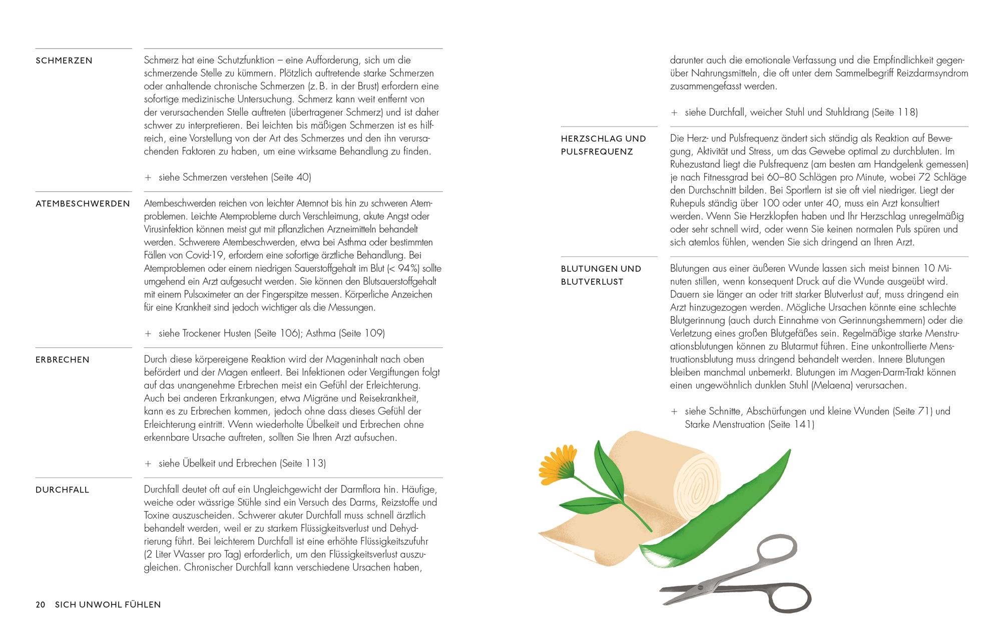 Beispielinhalt (Bild) Die pflanzliche Hausapotheke