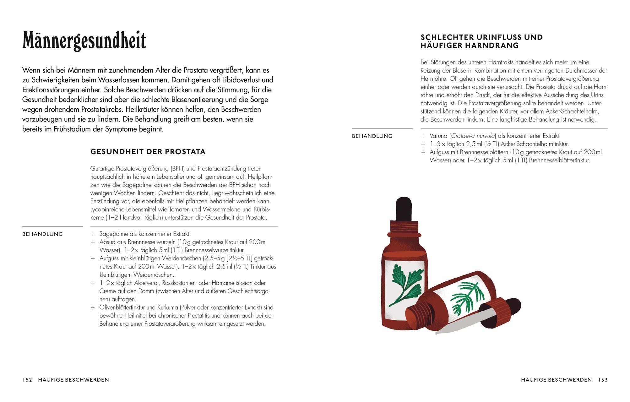 Beispielinhalt (Bild) Die pflanzliche Hausapotheke