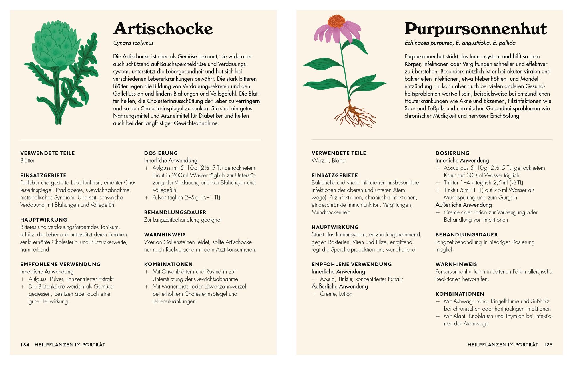 Beispielinhalt (Bild) Die pflanzliche Hausapotheke