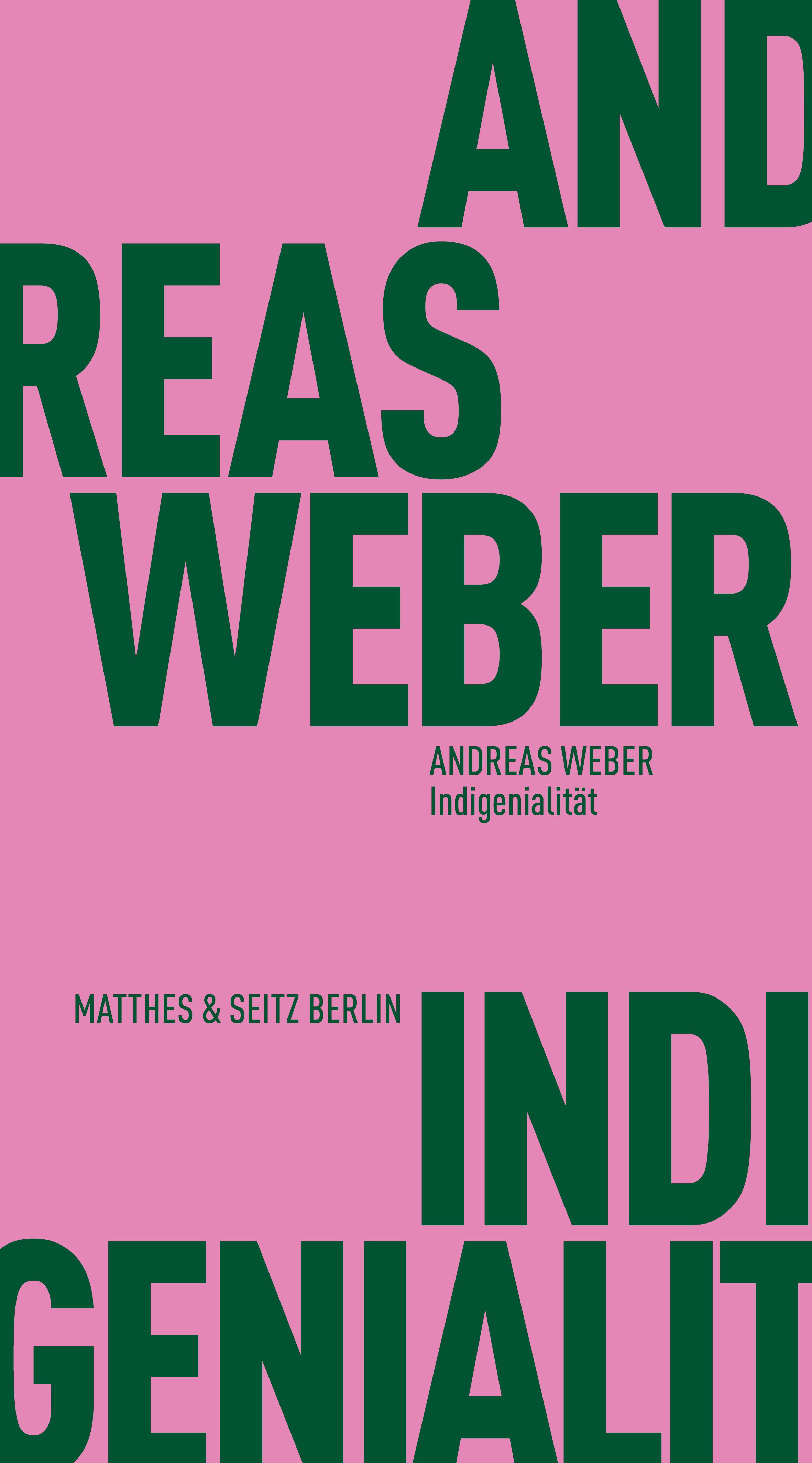 Vorderes Coverbild Indigenialität