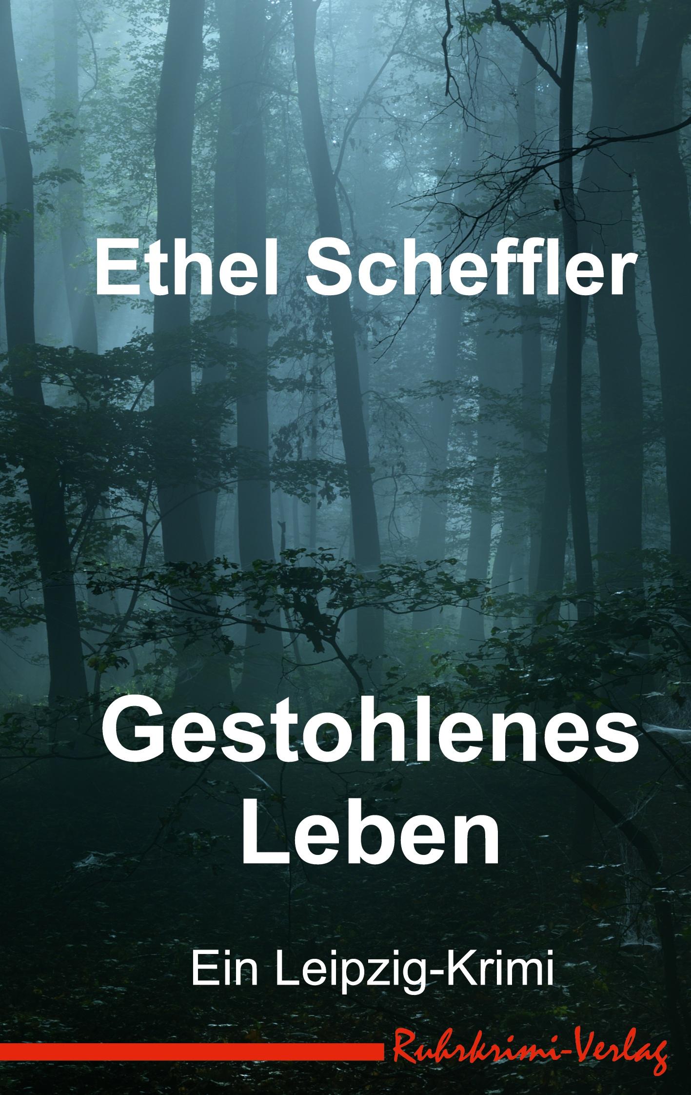 Vorderes Coverbild Gestohlenes Leben