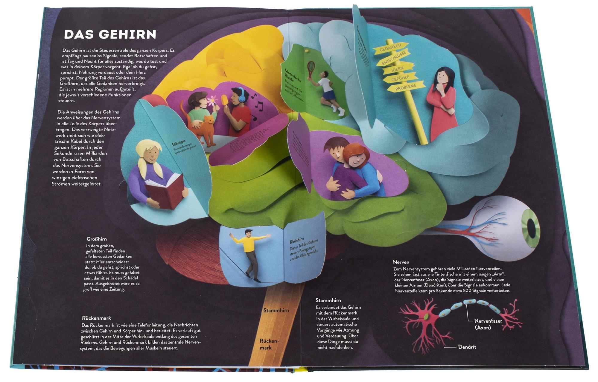 Beispielinhalt (Bild) Wissenswelten. Körper