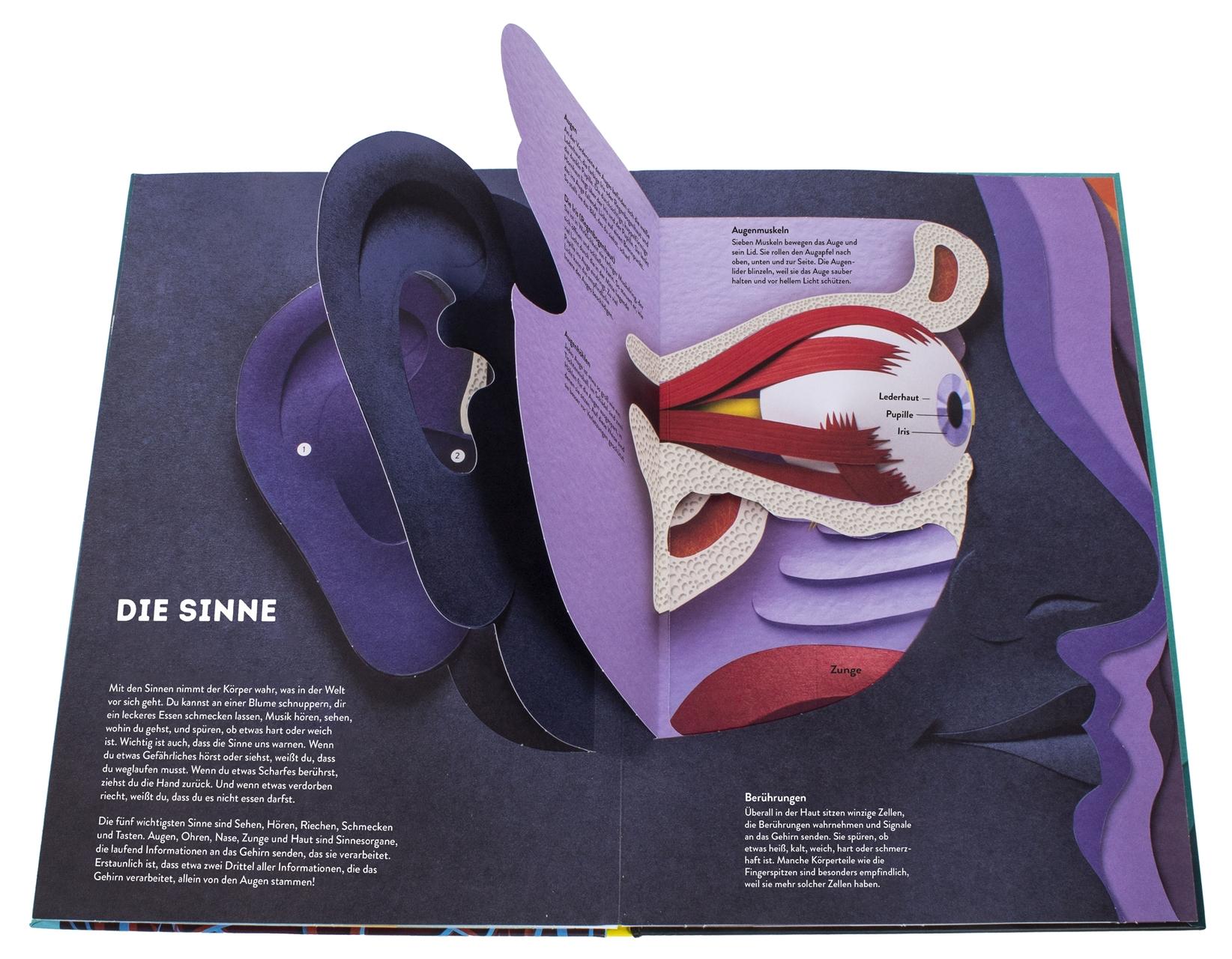 Beispielinhalt (Bild) Wissenswelten. Körper