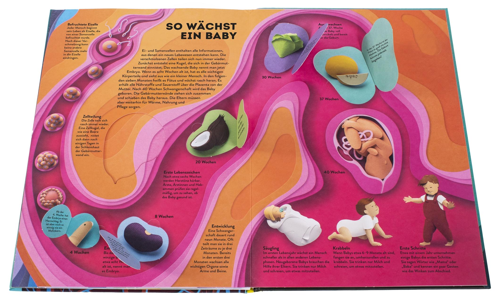 Beispielinhalt (Bild) Wissenswelten. Körper