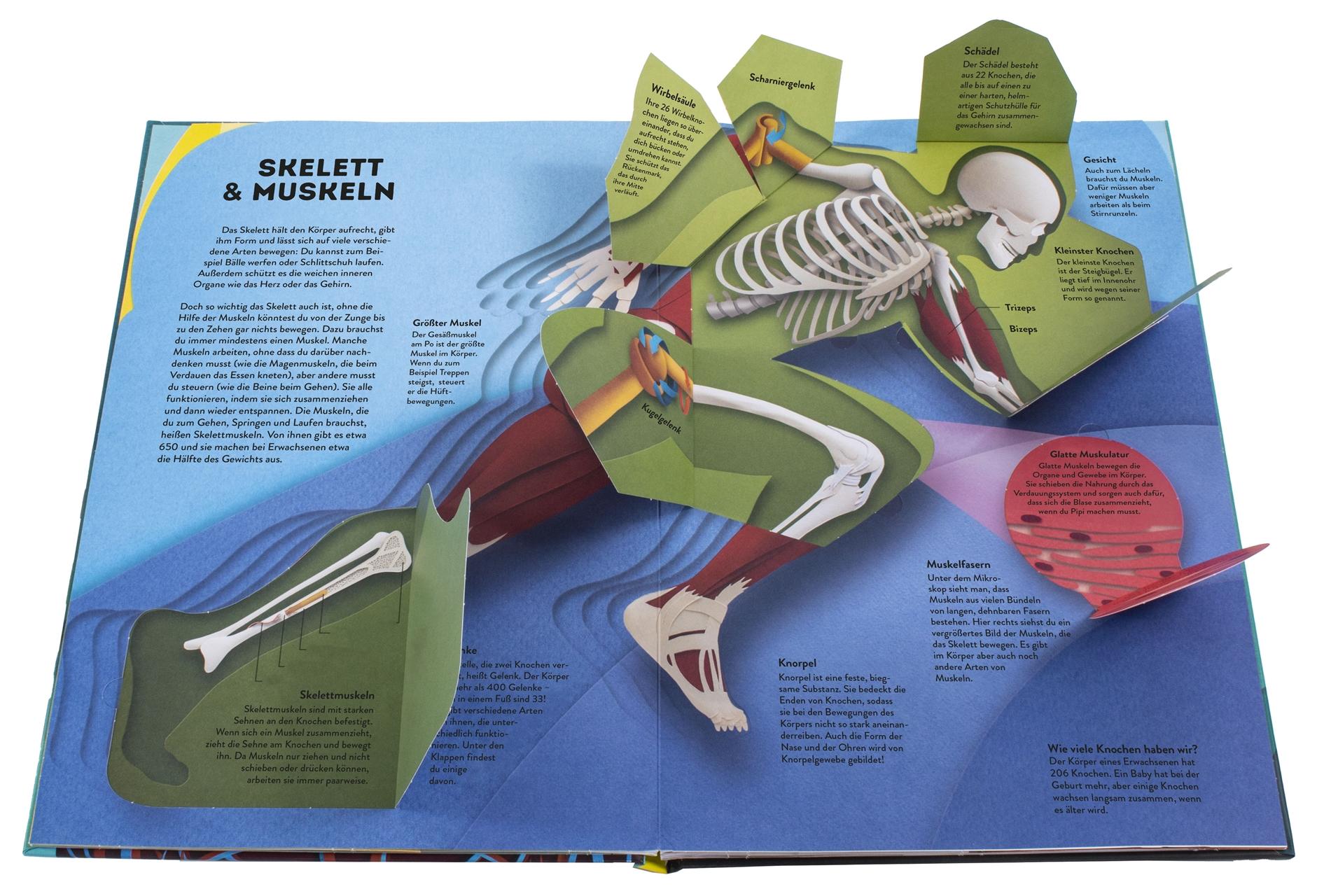 Beispielinhalt (Bild) Wissenswelten. Körper