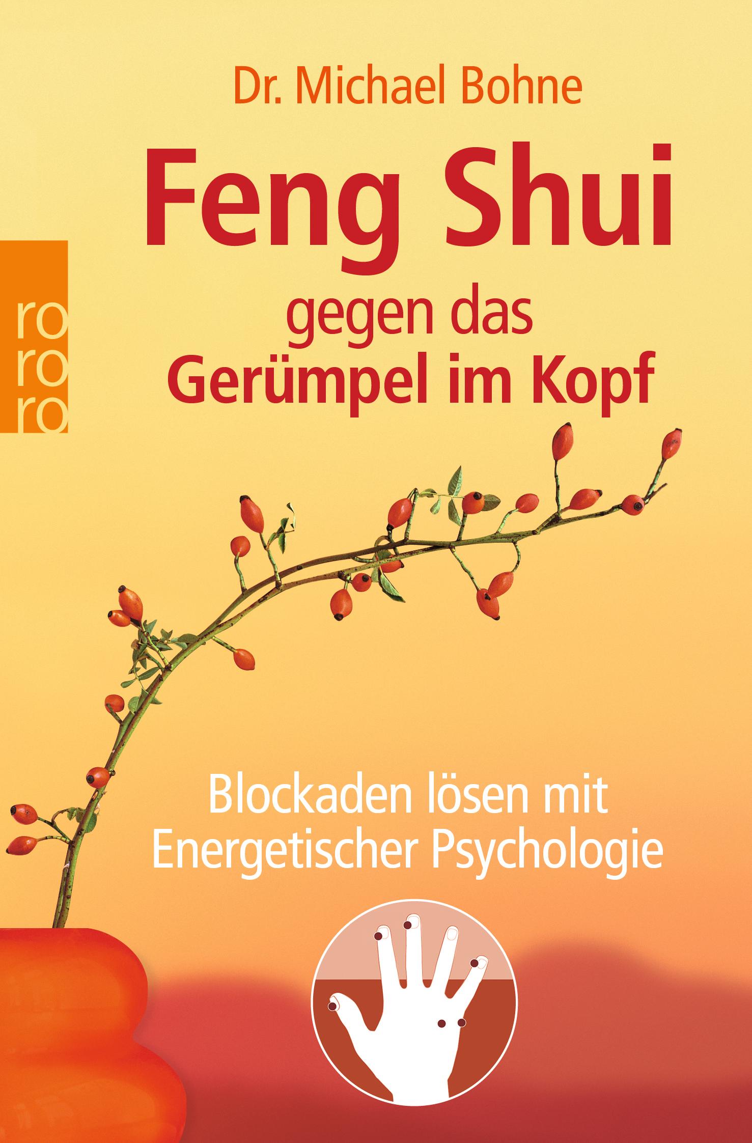 Vorderes Coverbild Feng Shui gegen das Gerümpel im Kopf