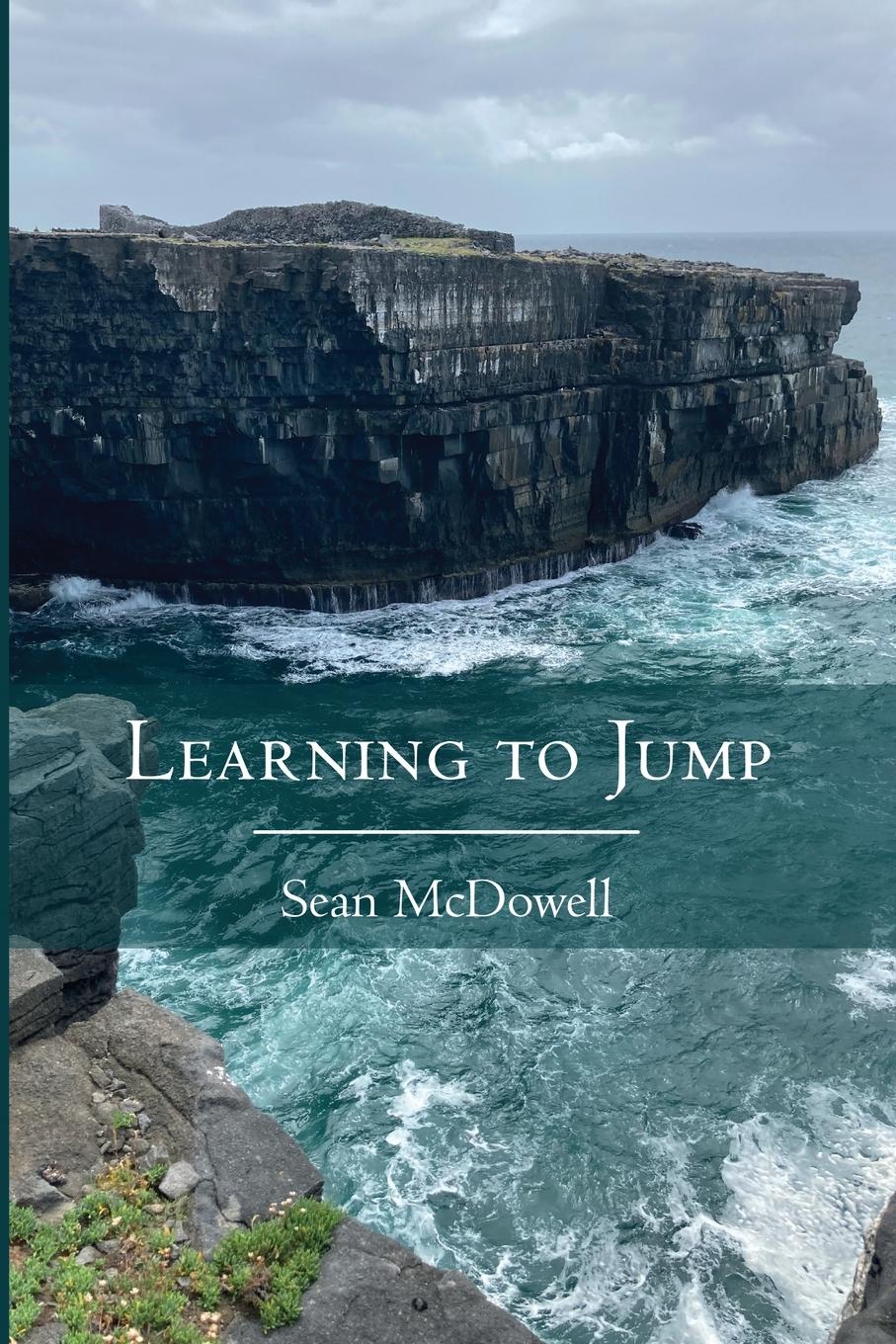 Vorderes Coverbild Learning to Jump