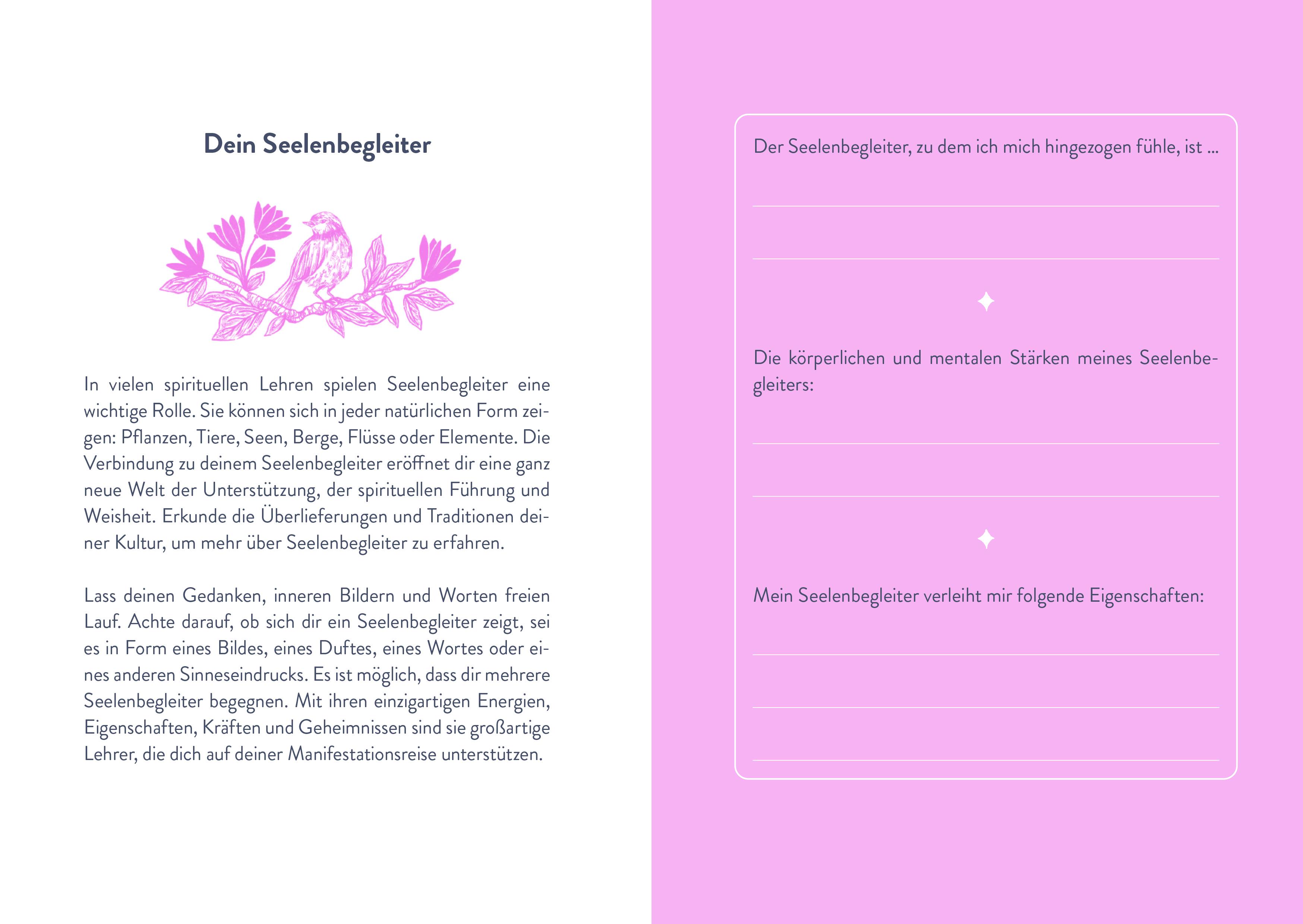 Beispielinhalt (Bild) Manifestieren - Dein Journal