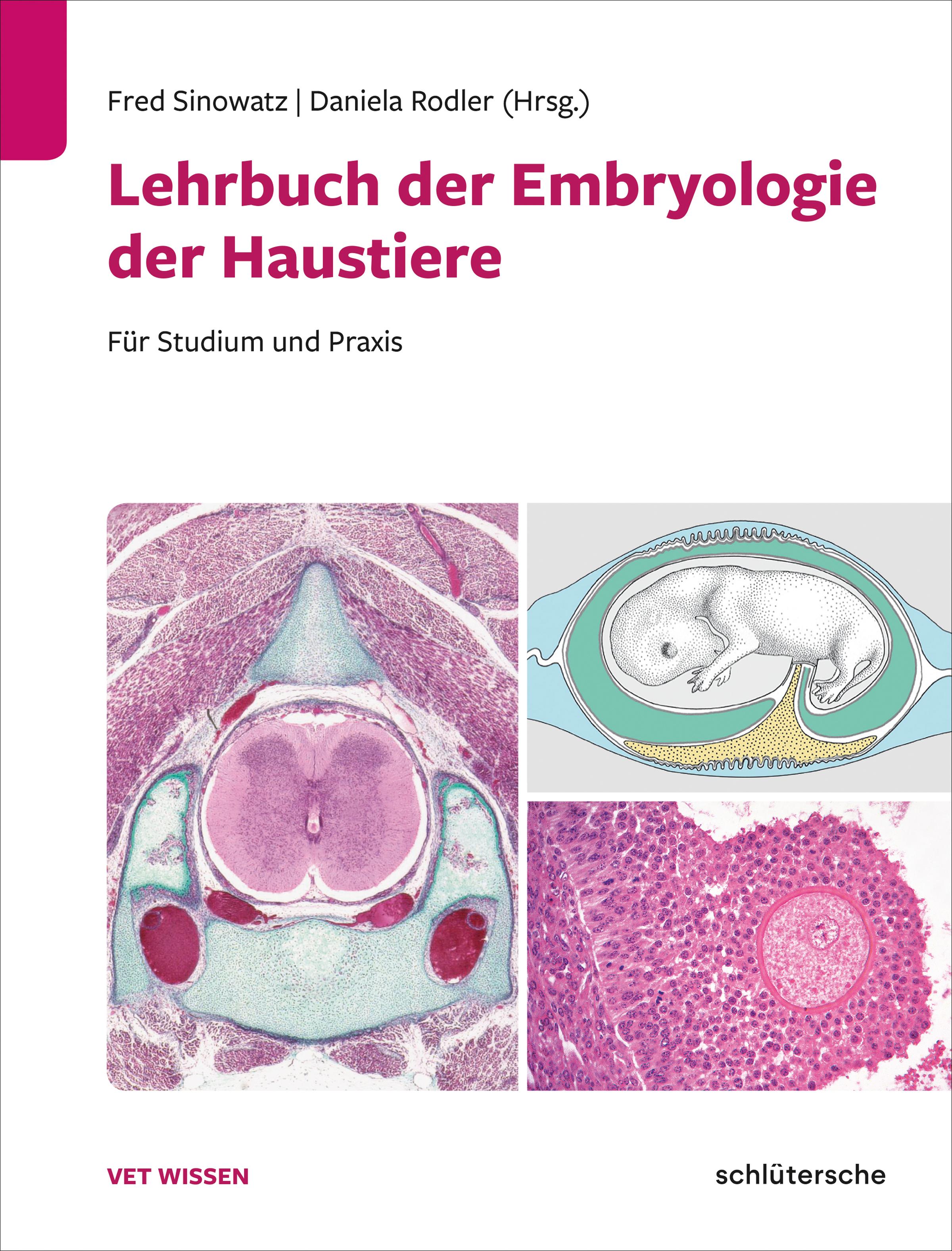 Vorderes Coverbild Lehrbuch der Embryologie der Haustiere