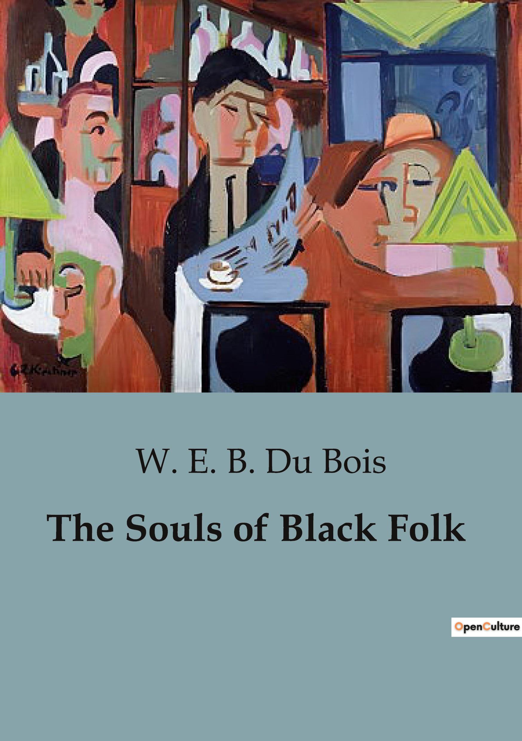 Vorderes Coverbild The Souls of Black Folk