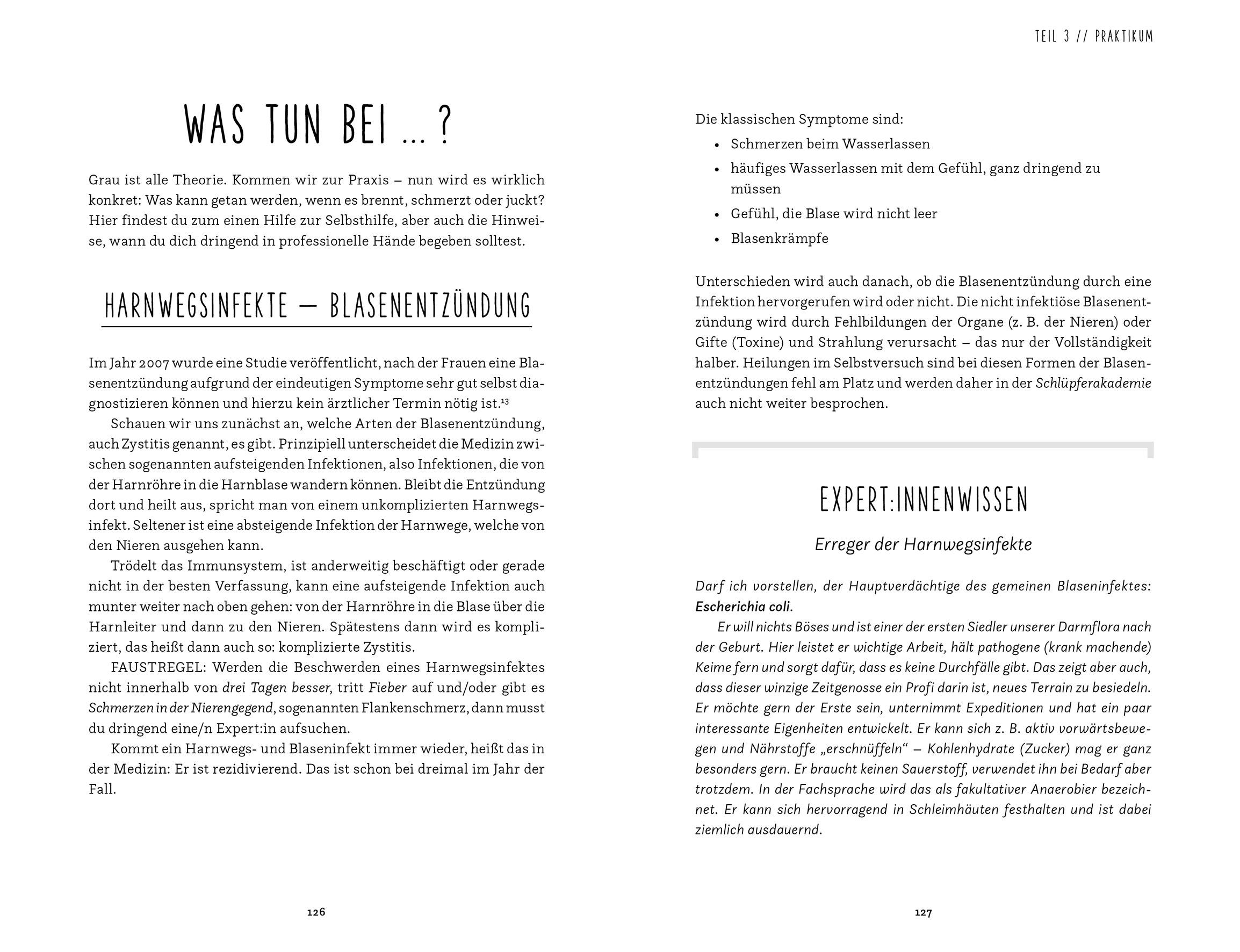 Beispielinhalt (Bild) Die Schlüpferakademie