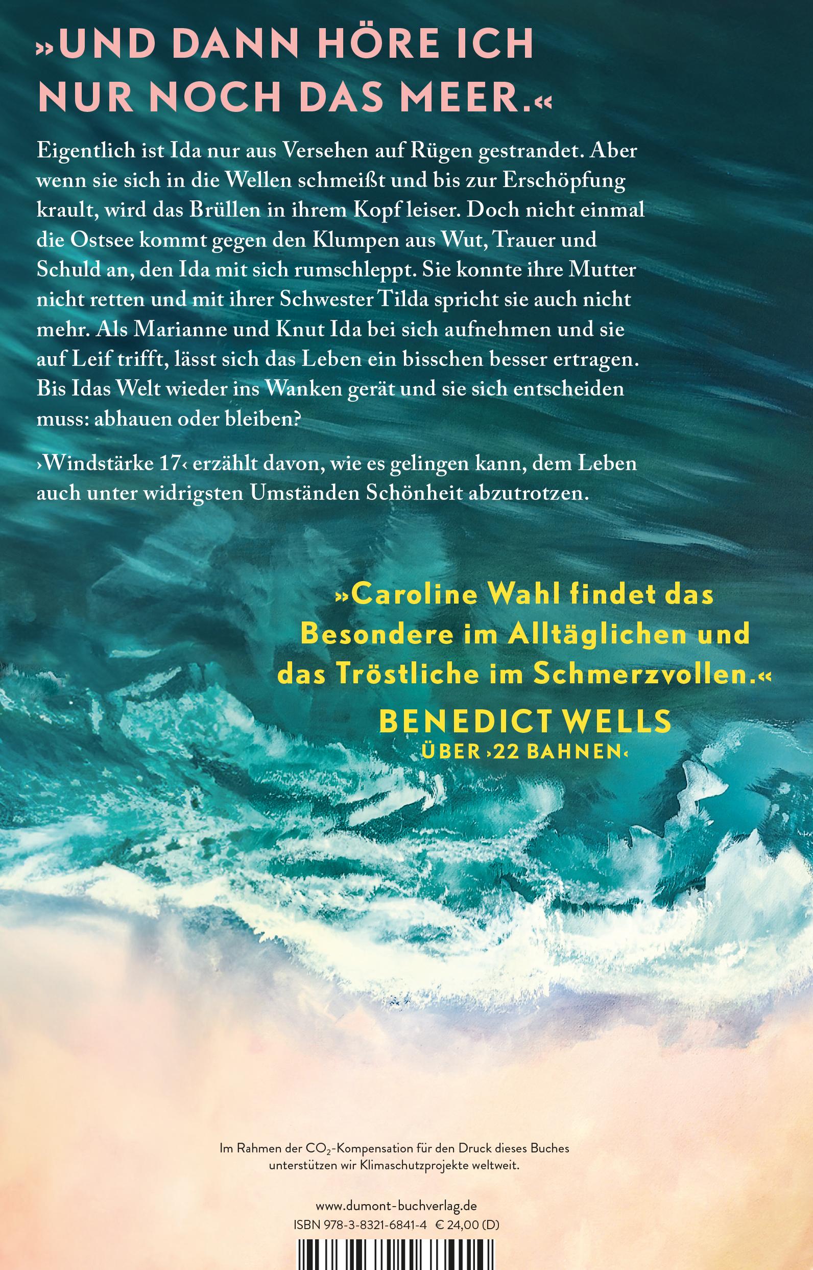 Rückseitencover Windstärke 17
