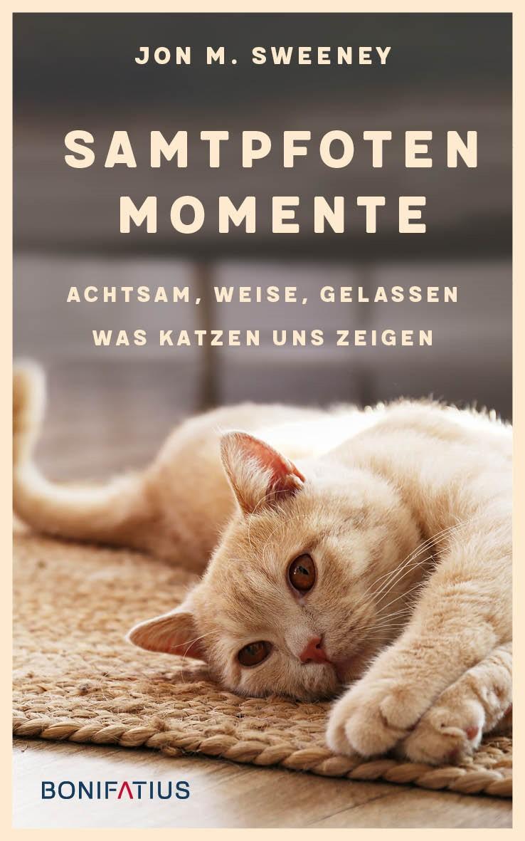 Vorderes Coverbild Samtpfotenmomente