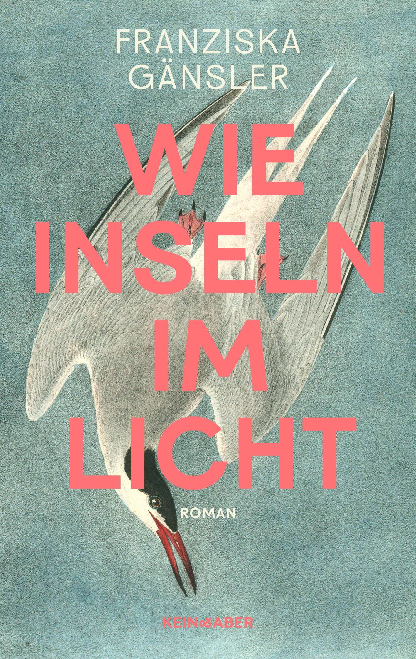 Vorderes Coverbild Wie Inseln im Licht